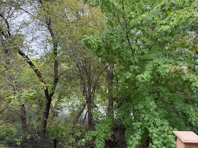 View of Residential at 15581 Iodine Street, Ramsey MN 55303, Ramsey (27 of 28) - Mike Wilen | Minnesota Team Real Estate