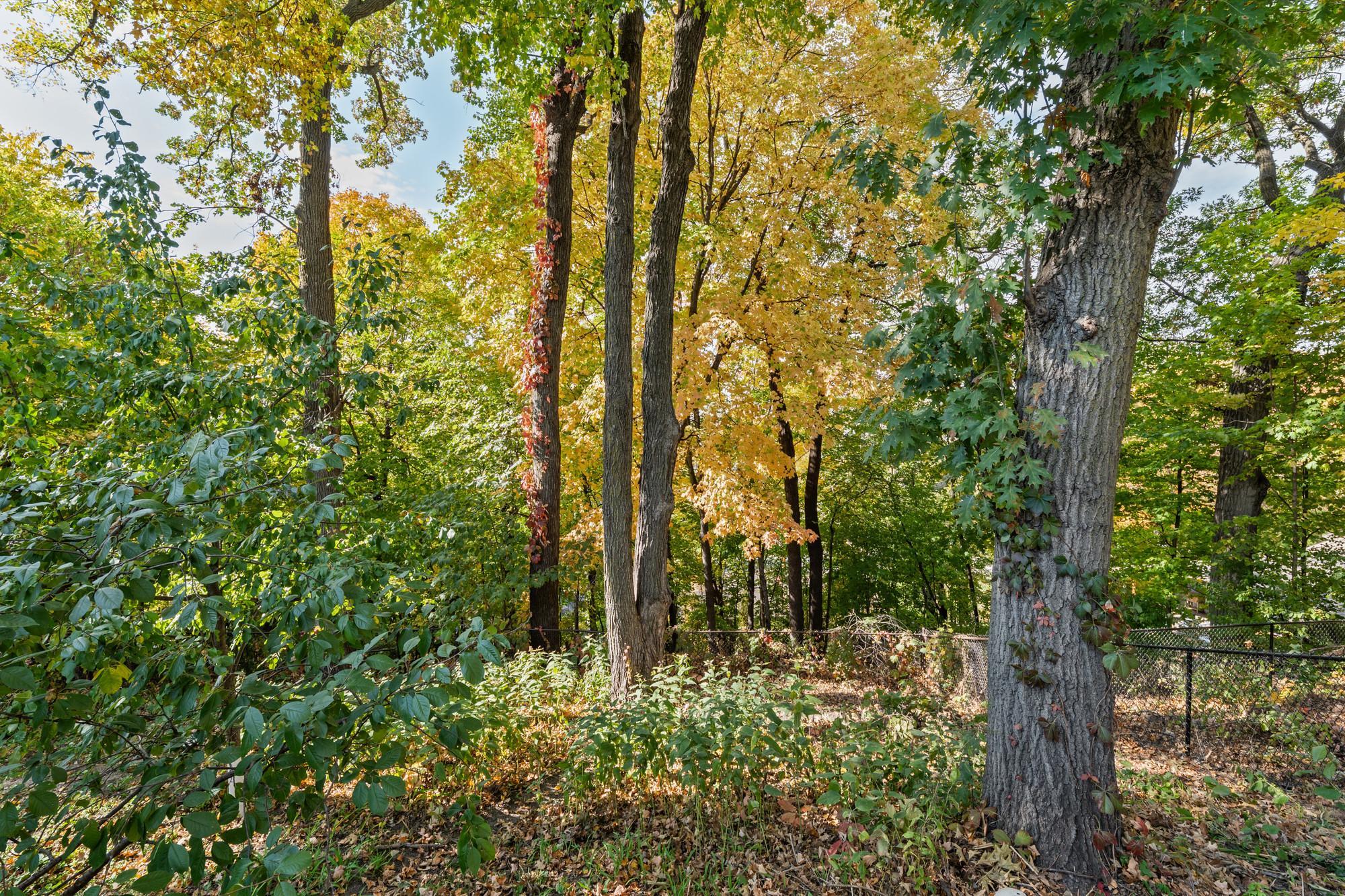 View of Residential at 3045 Dundee Lane, Mound MN 55364, Mound (29 of 33) - Mike Wilen | Minnesota Team Real Estate