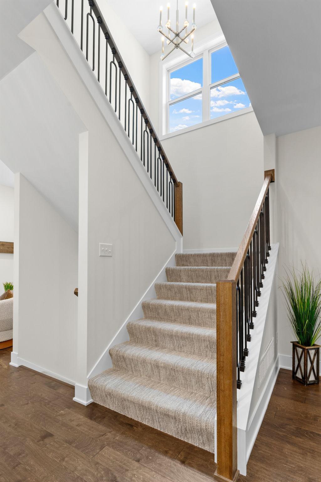 View of Residential at 4236 Quentin Avenue, Saint Louis Park MN 55416, Saint Louis Park (18 of 53) - Mike Wilen | Minnesota Team Real Estate