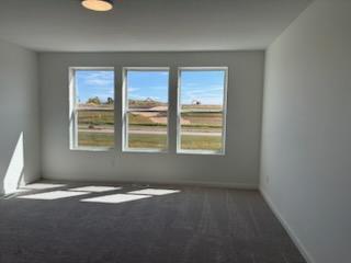 View of Residential at 6297 Ivywood Avenue, Cottage Grove MN 55016, Cottage Grove (12 of 21) - Mike Wilen | Minnesota Team Real Estate
