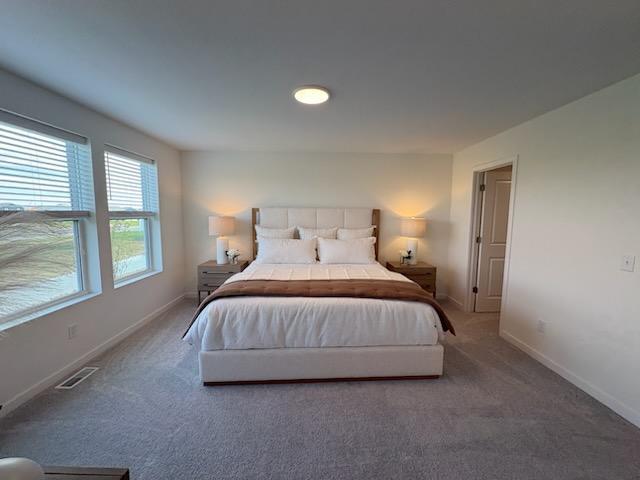 View of Residential at 6297 Ivywood Avenue, Cottage Grove MN 55016, Cottage Grove (9 of 56) - Mike Wilen | Minnesota Team Real Estate