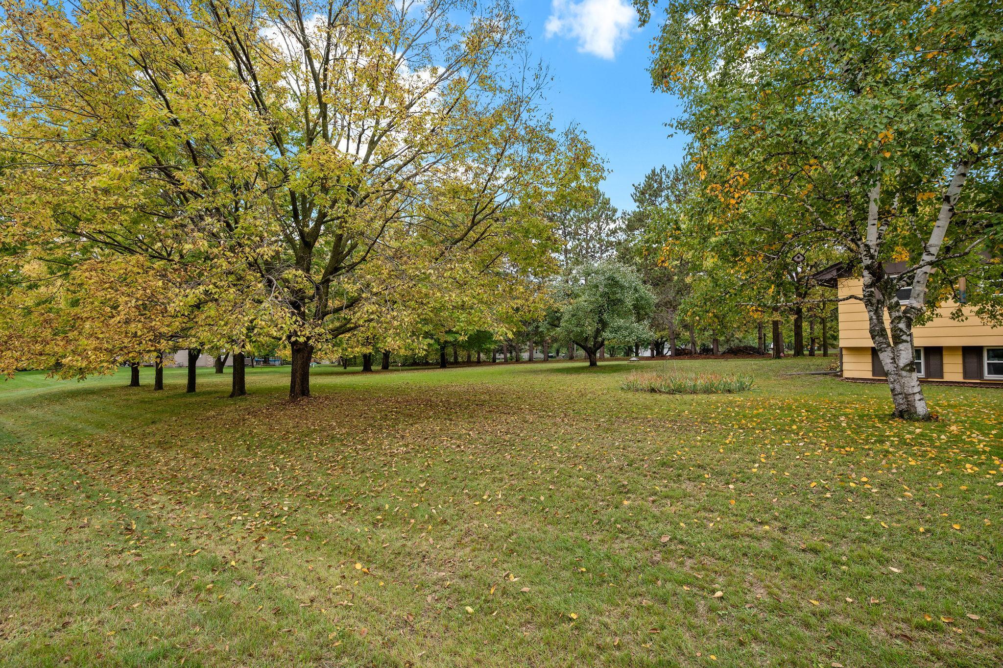 View of Residential at 15210 Jackal Street, Ramsey MN 55303, Ramsey (22 of 26) - Mike Wilen | Minnesota Team Real Estate