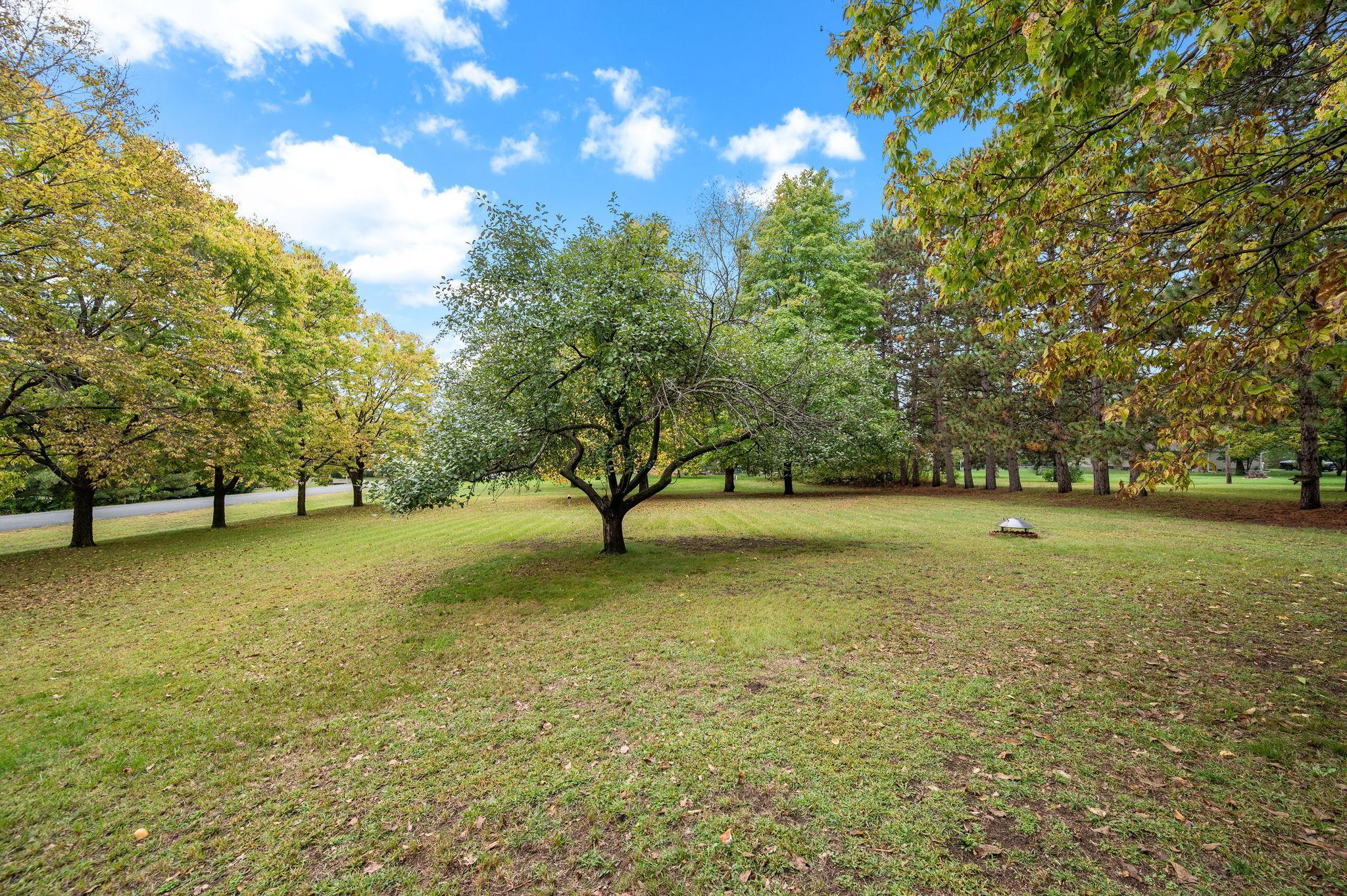 View of Residential at 15210 Jackal Street, Ramsey MN 55303, Ramsey (4 of 26) - Mike Wilen | Minnesota Team Real Estate