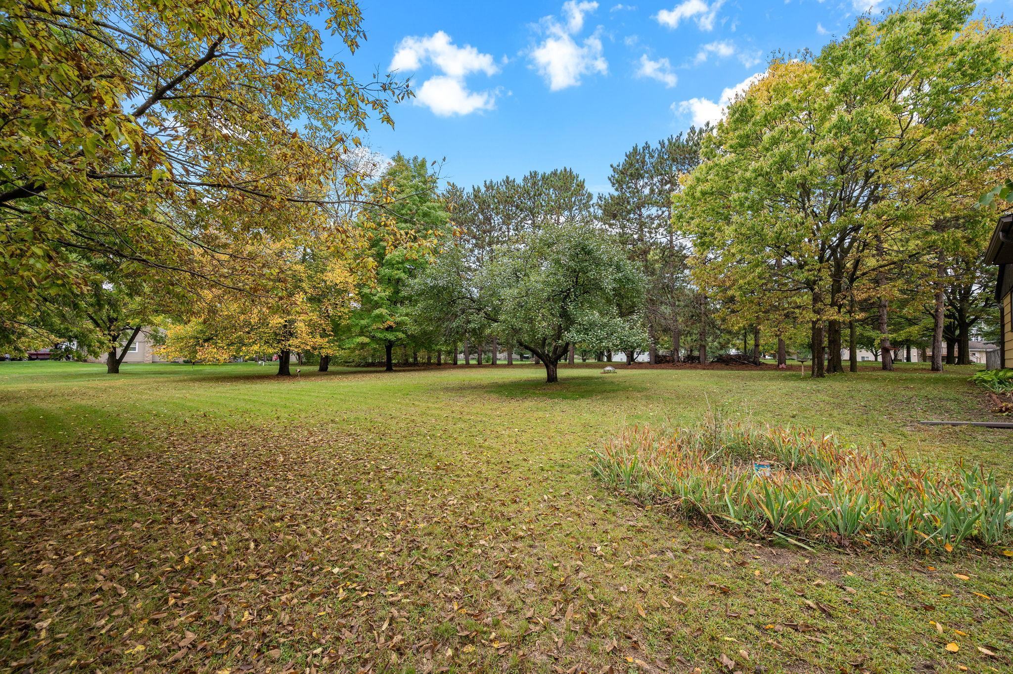 View of Residential at 15210 Jackal Street, Ramsey MN 55303, Ramsey (3 of 26) - Mike Wilen | Minnesota Team Real Estate