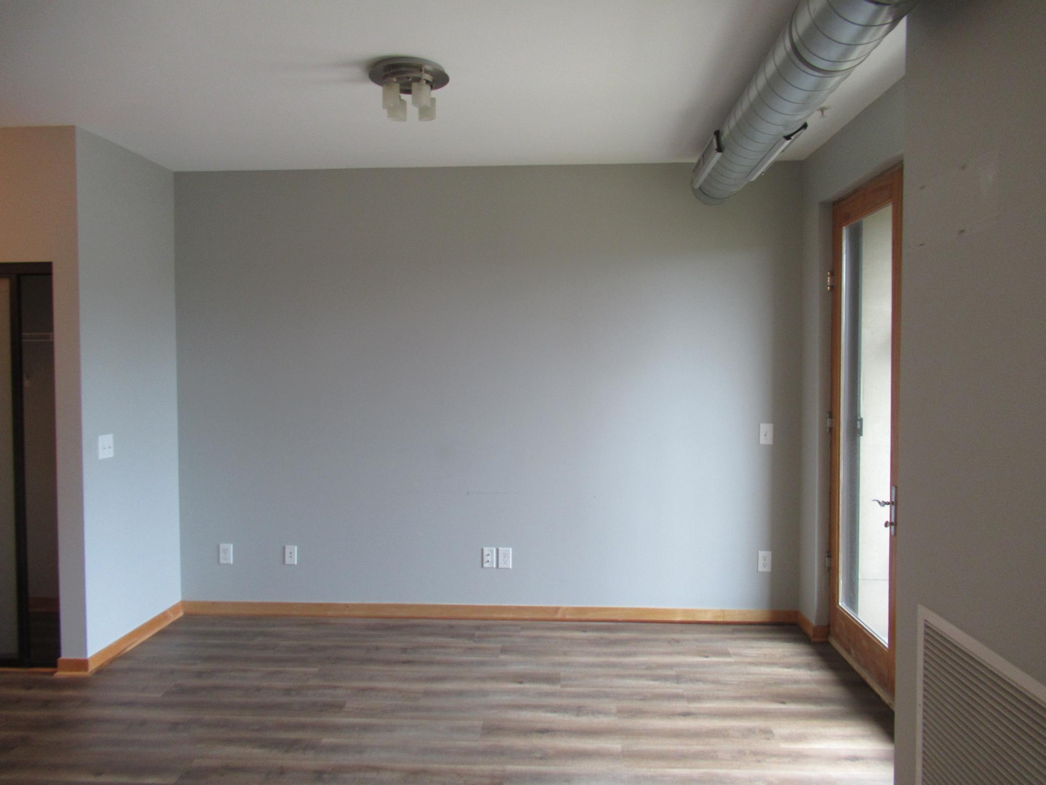 View of Residential at 15 Franklin Avenue #313, Minneapolis MN 55404, Minneapolis (3 of 13) - Mike Wilen | Minnesota Team Real Estate
