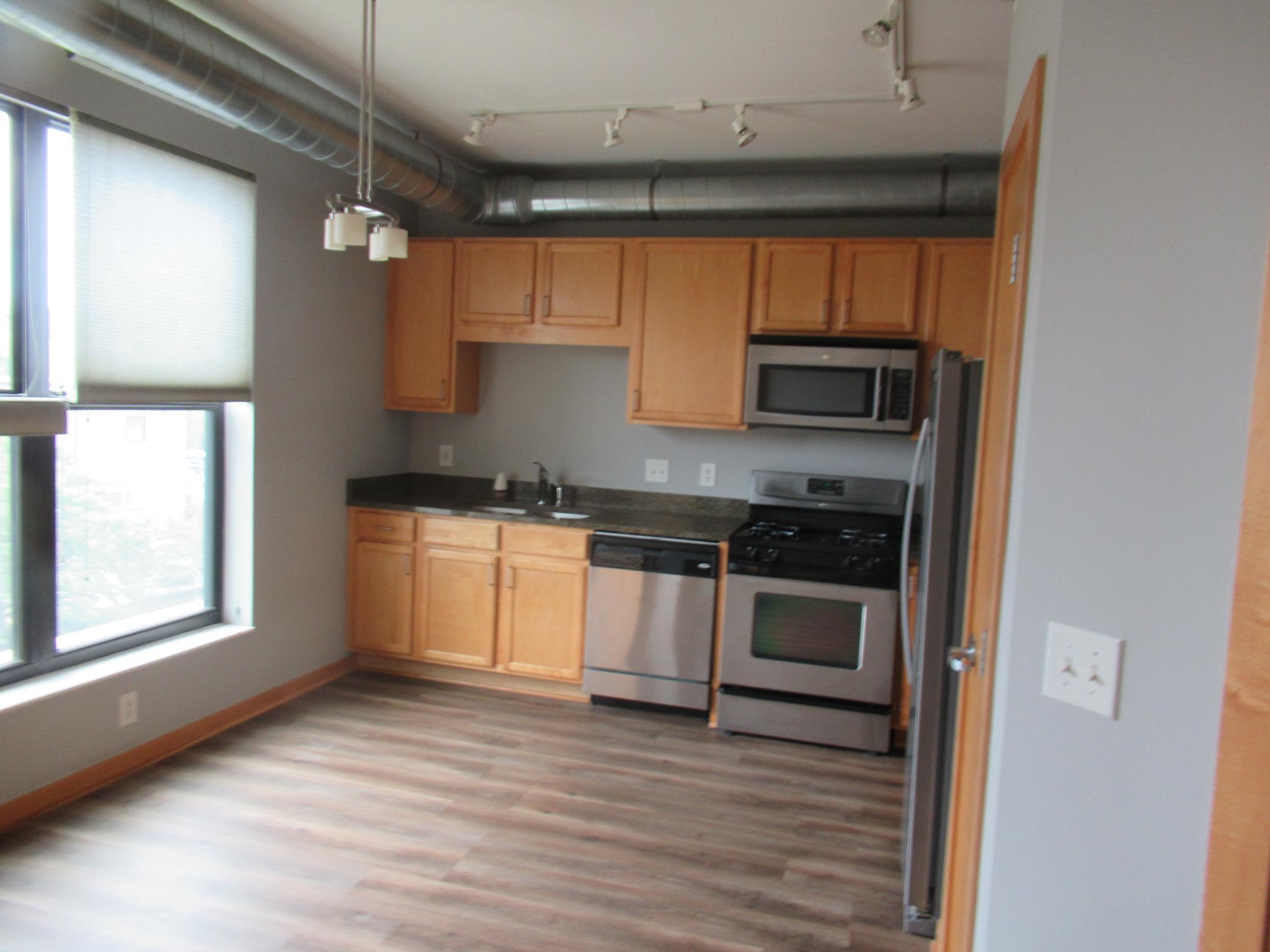View of Residential at 15 Franklin Avenue #313, Minneapolis MN 55404, Minneapolis (4 of 13) - Mike Wilen | Minnesota Team Real Estate