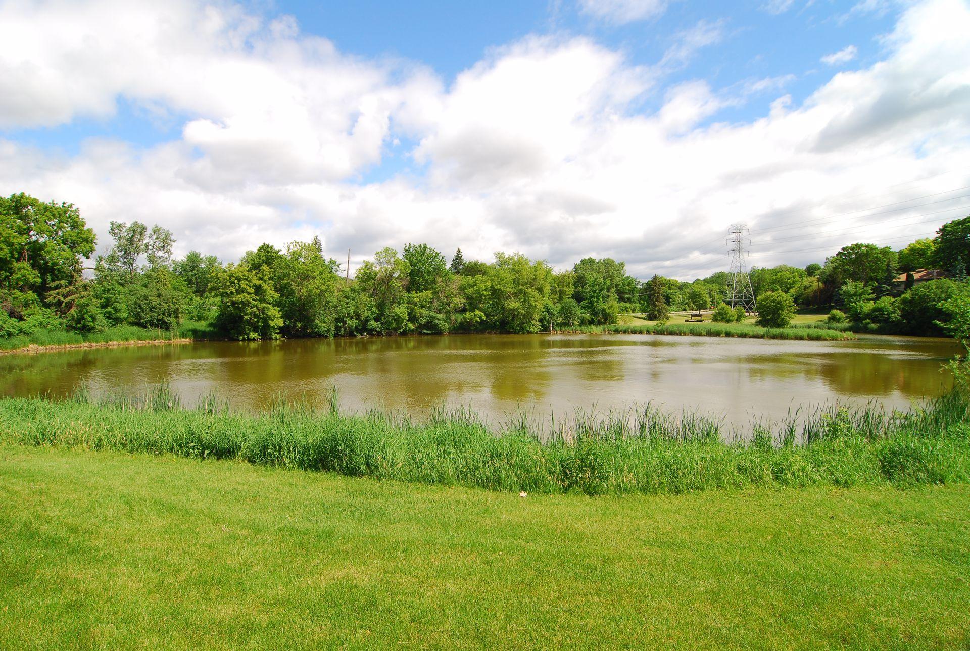View of Residential at 5724 Code Avenue, Edina MN 55436, Edina (52 of 52) - Mike Wilen | Minnesota Team Real Estate