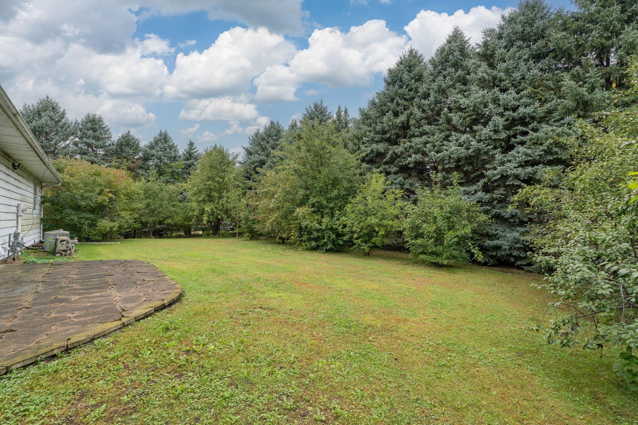 View of Residential at 1207 William Street, Kasota MN 56050, Kasota (35 of 38) - Mike Wilen | Minnesota Team Real Estate