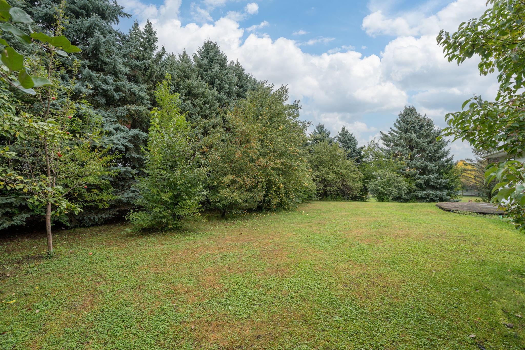 View of Residential at 1207 William Street, Kasota MN 56050, Kasota (34 of 38) - Mike Wilen | Minnesota Team Real Estate