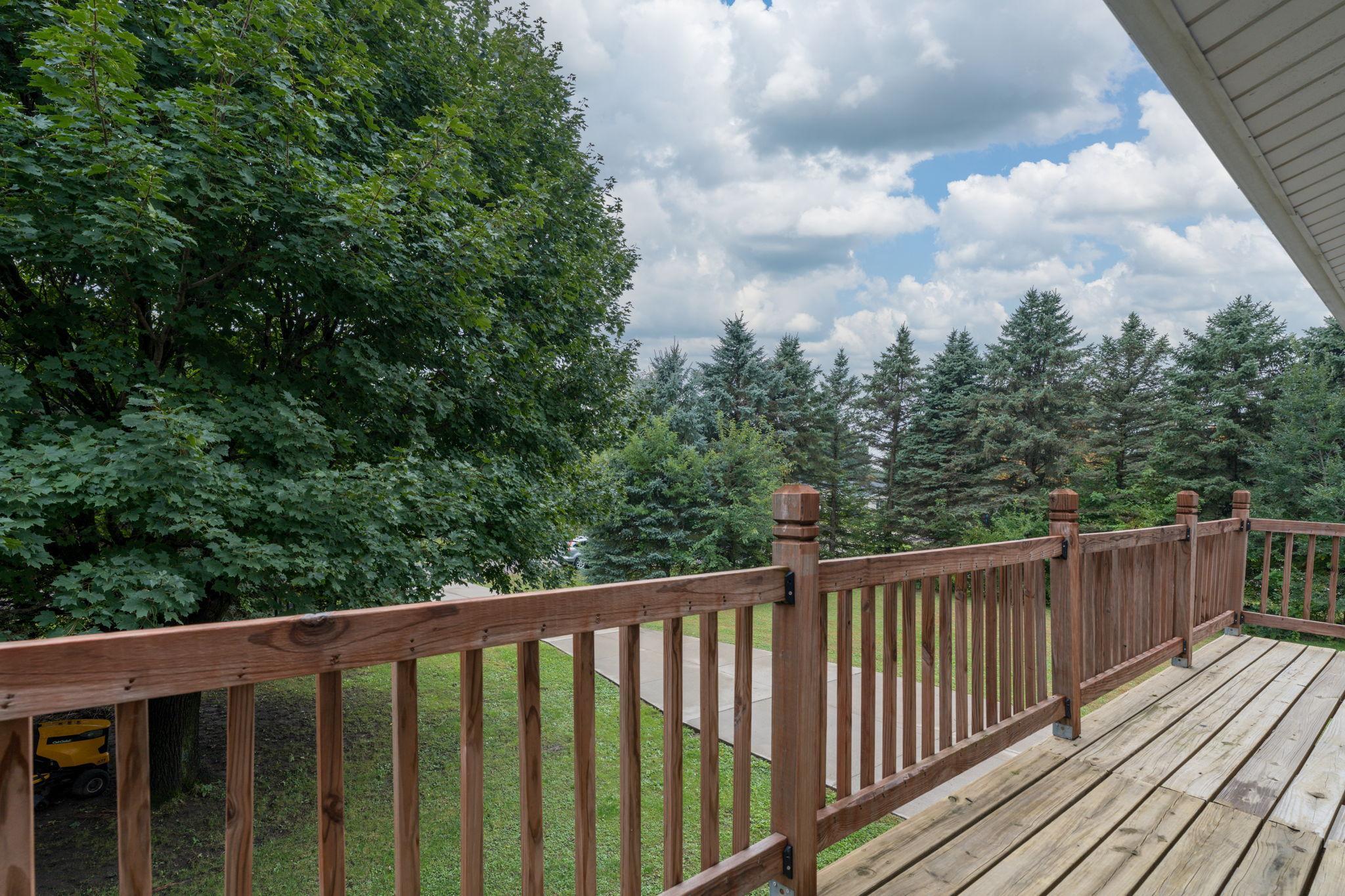 View of Residential at 1207 William Street, Kasota MN 56050, Kasota (16 of 38) - Mike Wilen | Minnesota Team Real Estate
