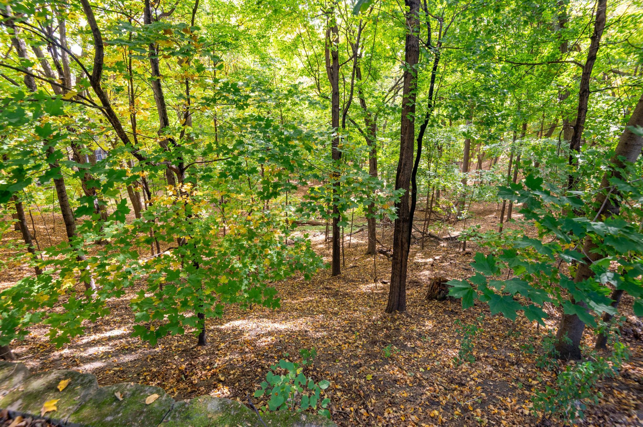 View of Residential at 19580 Waterford Court, Shorewood MN 55331, Shorewood (22 of 26) - Mike Wilen | Minnesota Team Real Estate