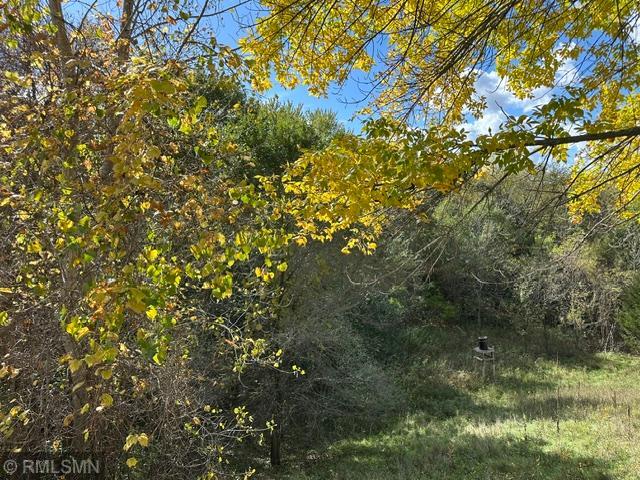View of Residential at 1007 Rum River Drive, Princeton MN 55371, Princeton (10 of 34) - Mike Wilen | Minnesota Team Real Estate