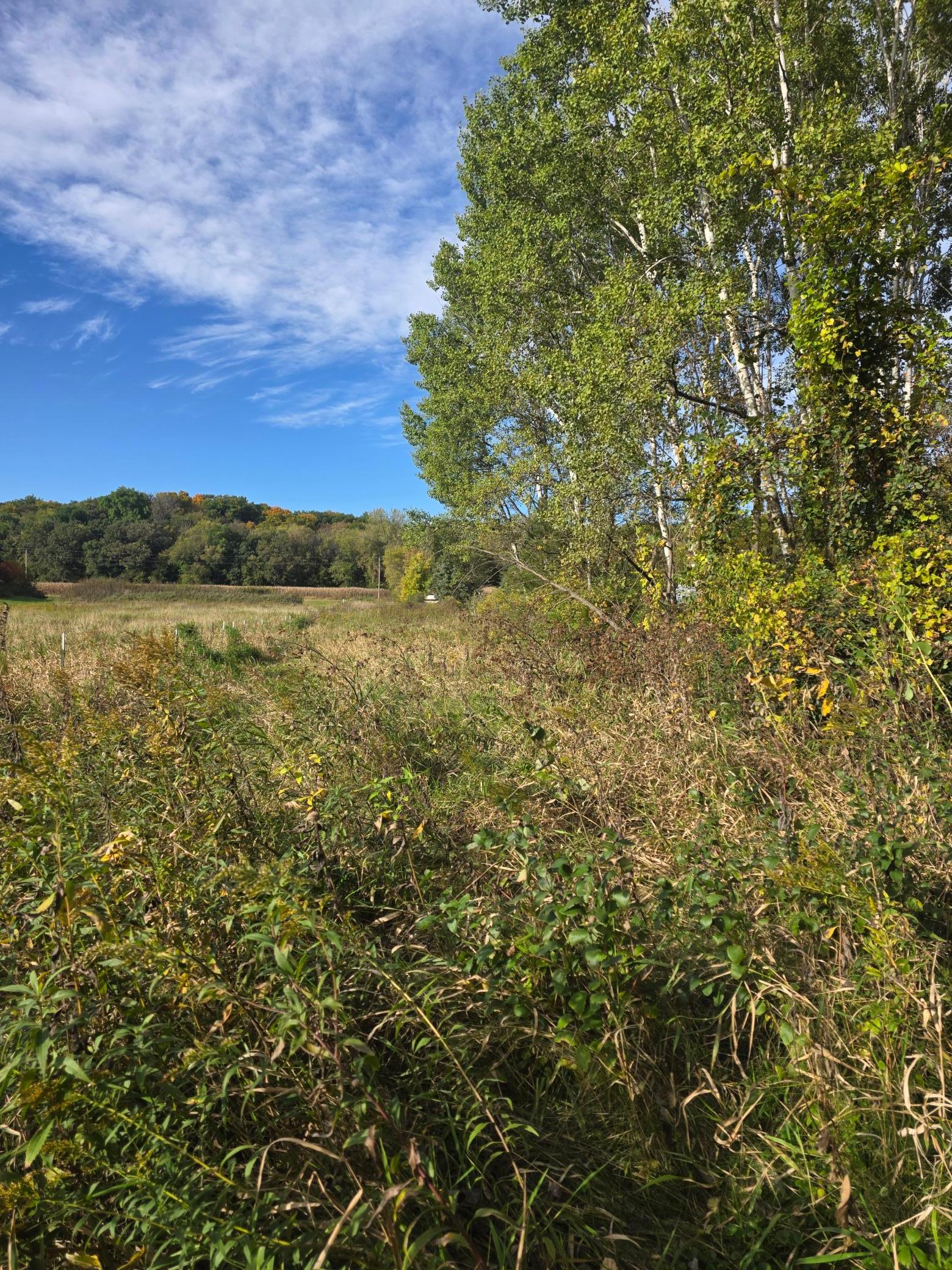 View of Land at TBD 300th St, Henderson MN 56044, Henderson (13 of 13) - Mike Wilen | Minnesota Team Real Estate