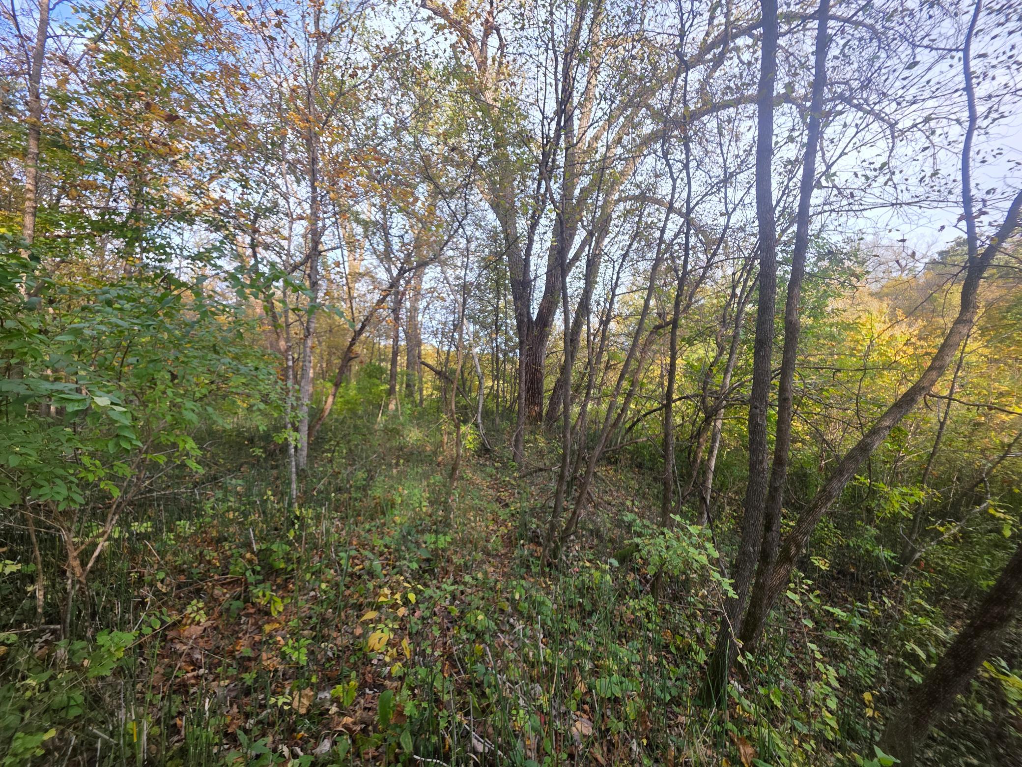 View of Land at TBD 300th St, Henderson MN 56044, Henderson (10 of 13) - Mike Wilen | Minnesota Team Real Estate