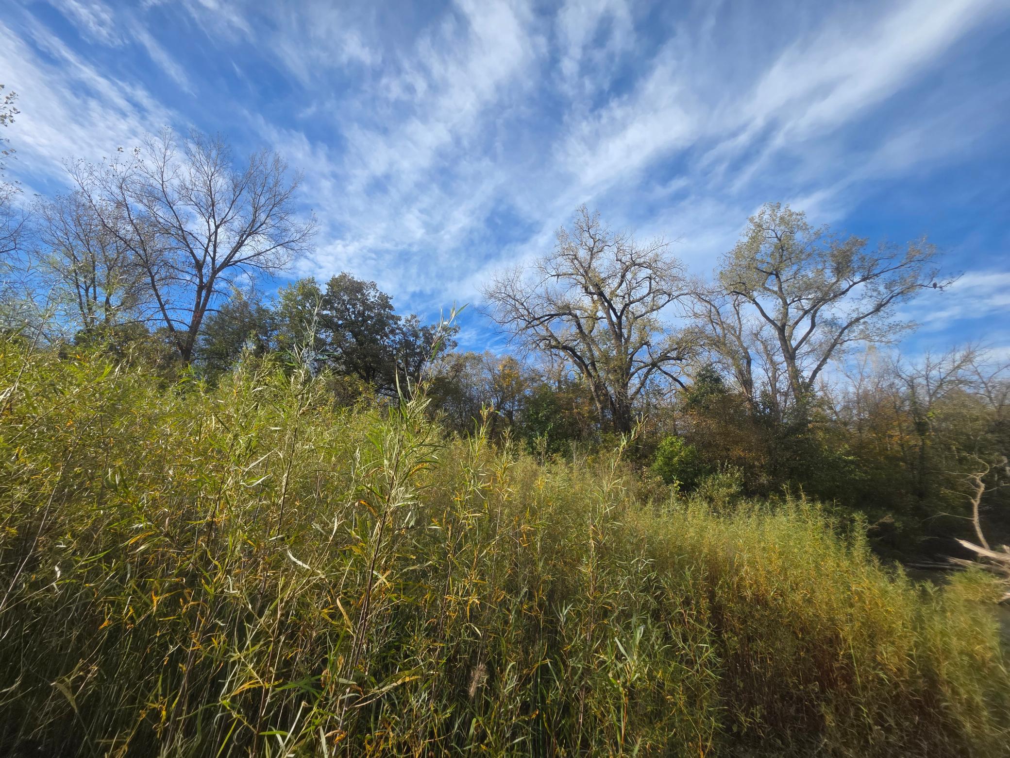 View of Land at TBD 300th St, Henderson MN 56044, Henderson (7 of 13) - Mike Wilen | Minnesota Team Real Estate