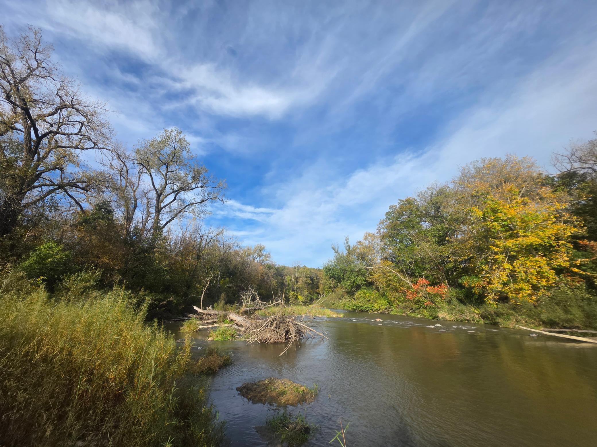 View of Land at TBD 300th St, Henderson MN 56044, Henderson (6 of 13) - Mike Wilen | Minnesota Team Real Estate