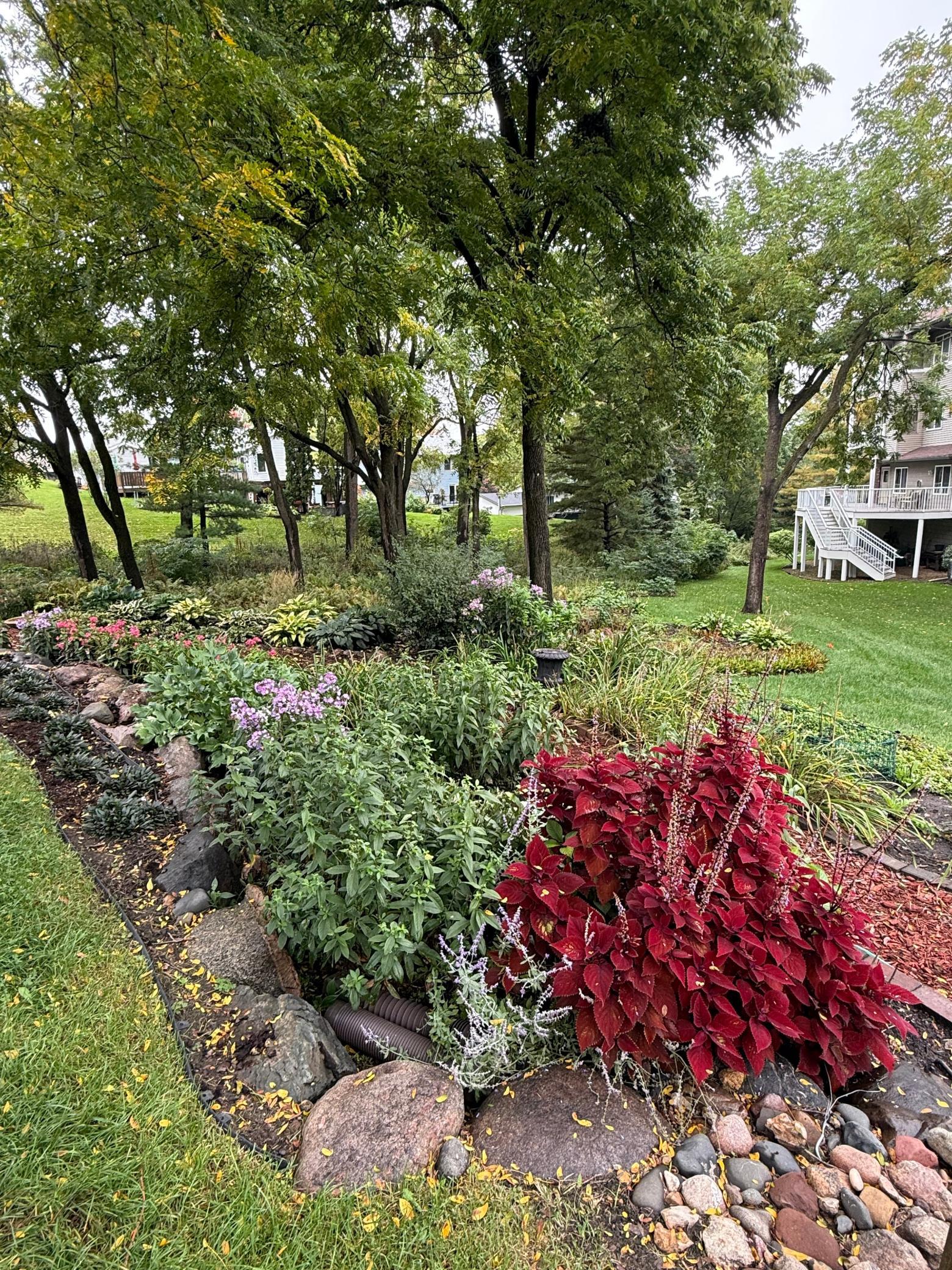 View of Residential at 18500 Euclid Street #306, Farmington MN 55024, Farmington (4 of 4) - Mike Wilen | Minnesota Team Real Estate