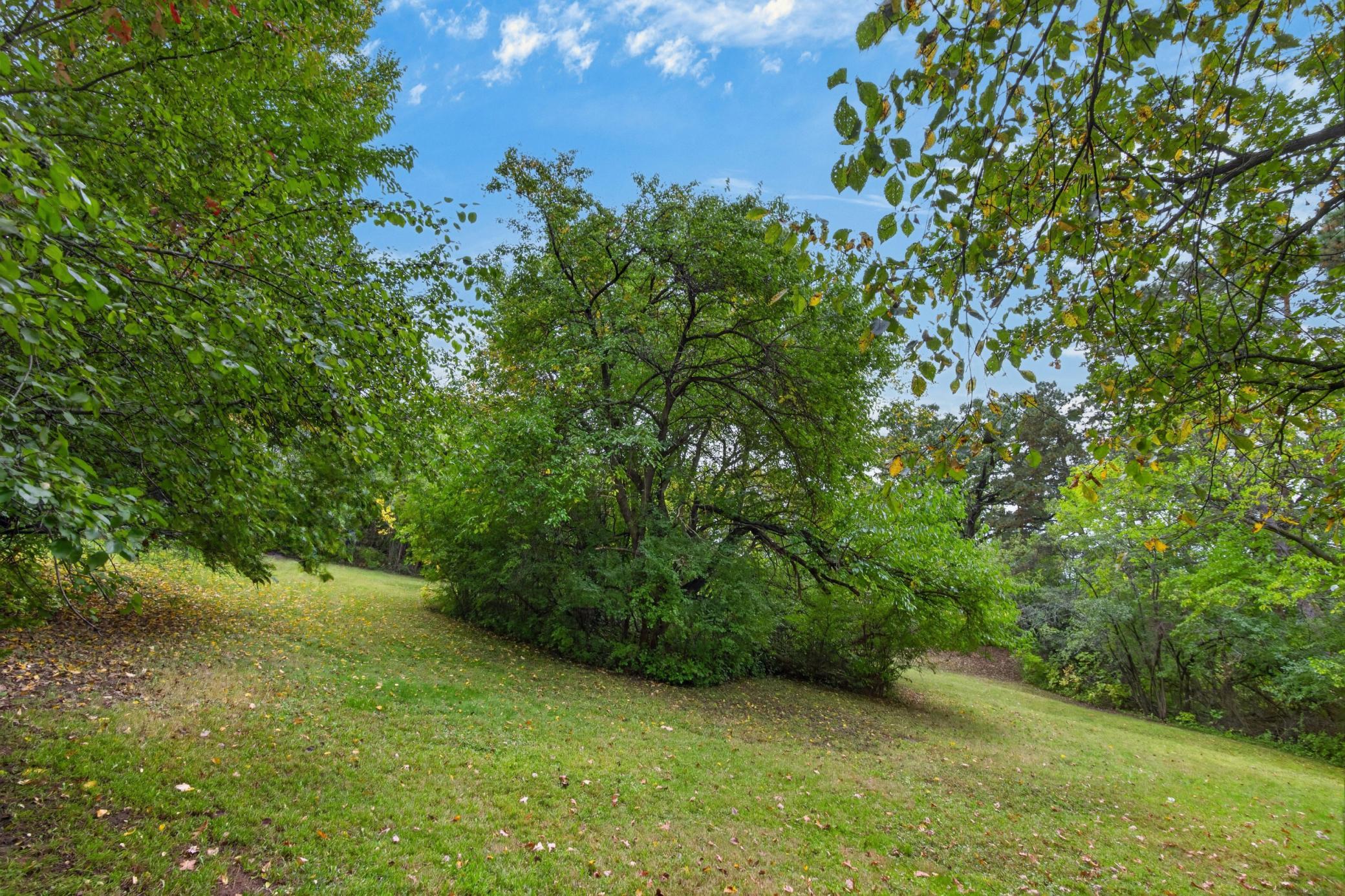 View of Land at TBD Okridge Street Street, Saint Paul MN 55119, Saint Paul (13 of 13) - Mike Wilen | Minnesota Team Real Estate