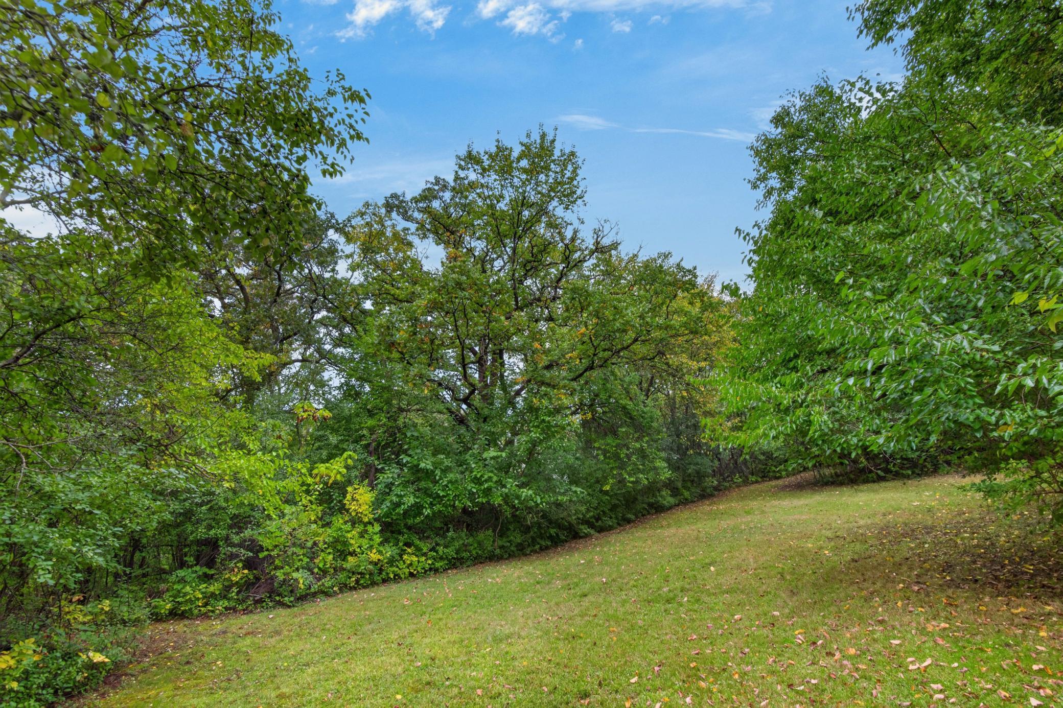 View of Land at TBD Okridge Street Street, Saint Paul MN 55119, Saint Paul (11 of 13) - Mike Wilen | Minnesota Team Real Estate