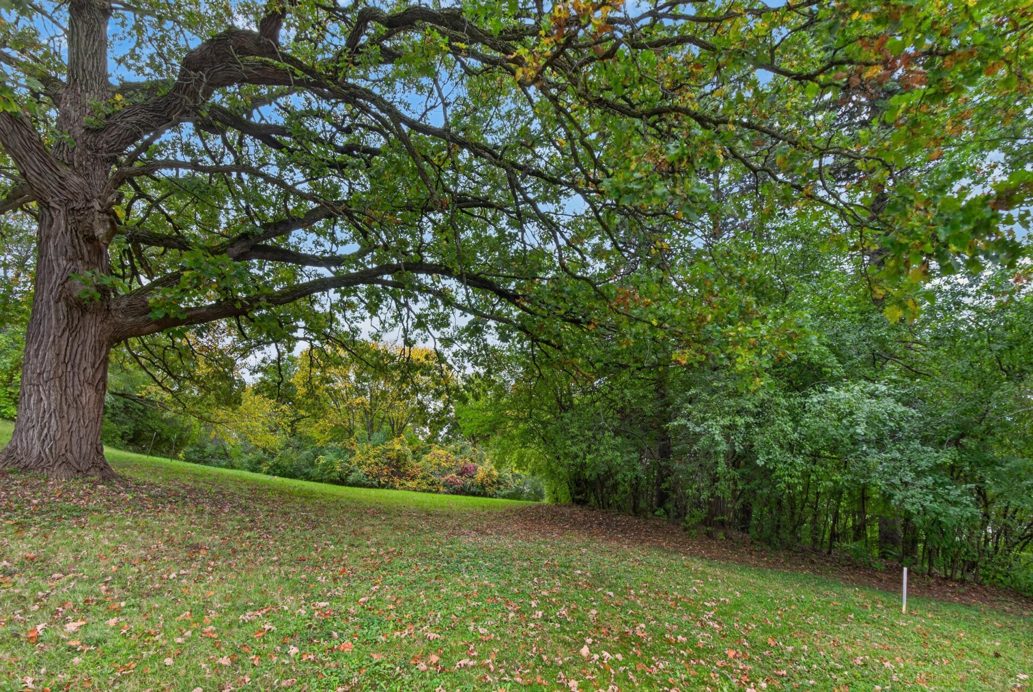 View of Land at TBD Okridge Street Street, Saint Paul MN 55119, Saint Paul (7 of 13) - Mike Wilen | Minnesota Team Real Estate