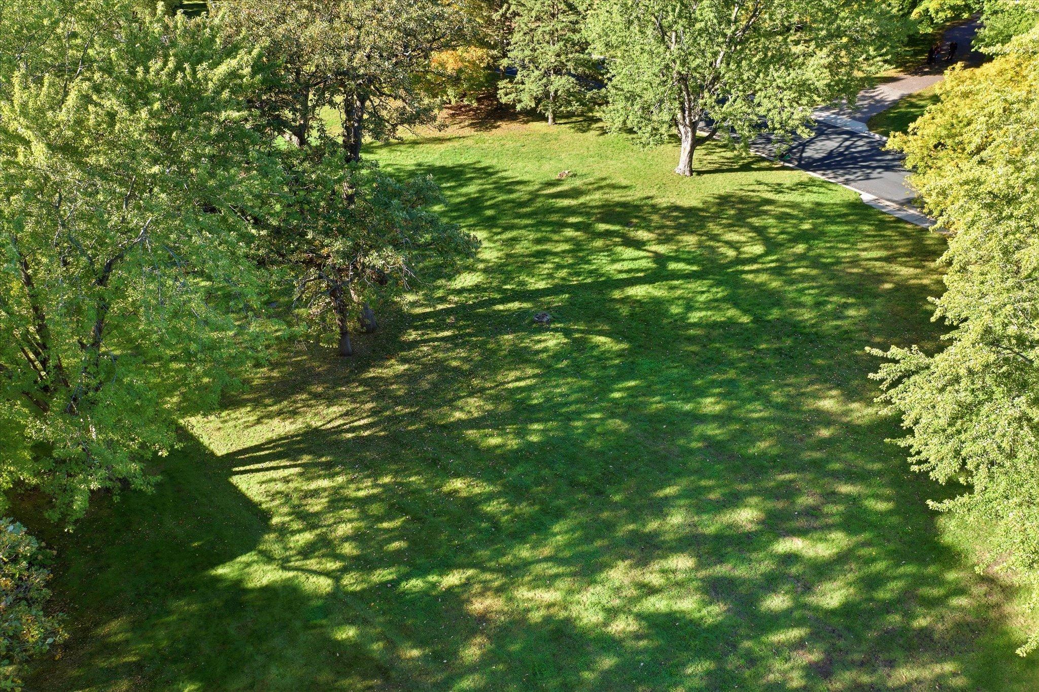 View of Land at 201 Douglas Drive, Buffalo MN 55313, Buffalo (8 of 15) - Mike Wilen | Minnesota Team Real Estate