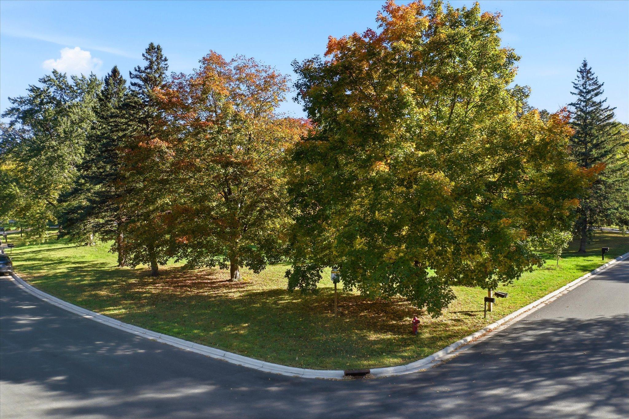 View of Land at 201 Douglas Drive, Buffalo MN 55313, Buffalo (4 of 15) - Mike Wilen | Minnesota Team Real Estate