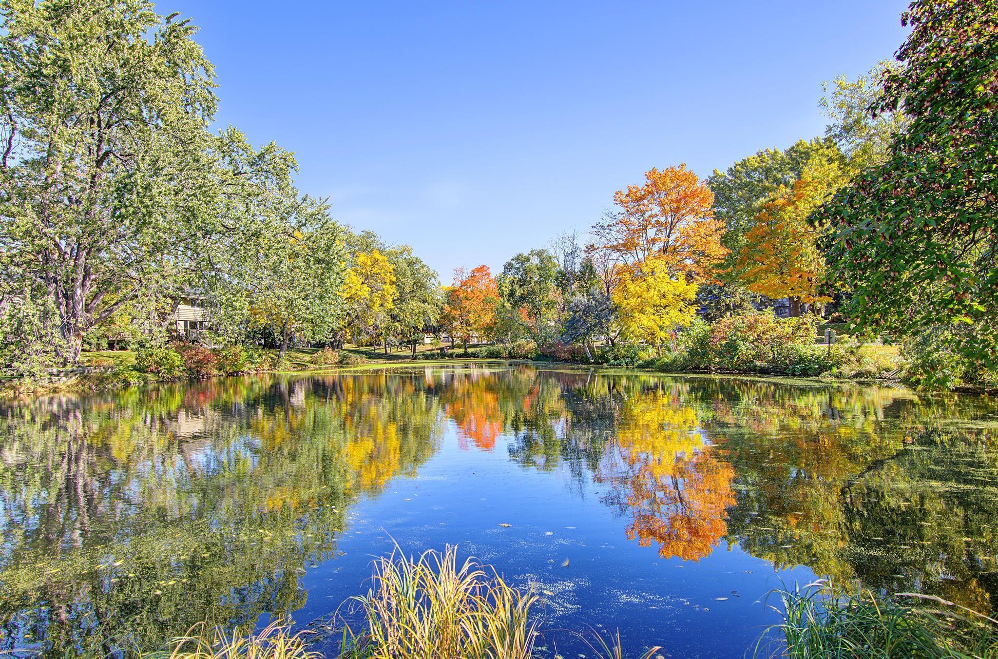 View of Residential at 214 Windsor Court, New Brighton MN 55112, New Brighton (39 of 45) - Mike Wilen | Minnesota Team Real Estate