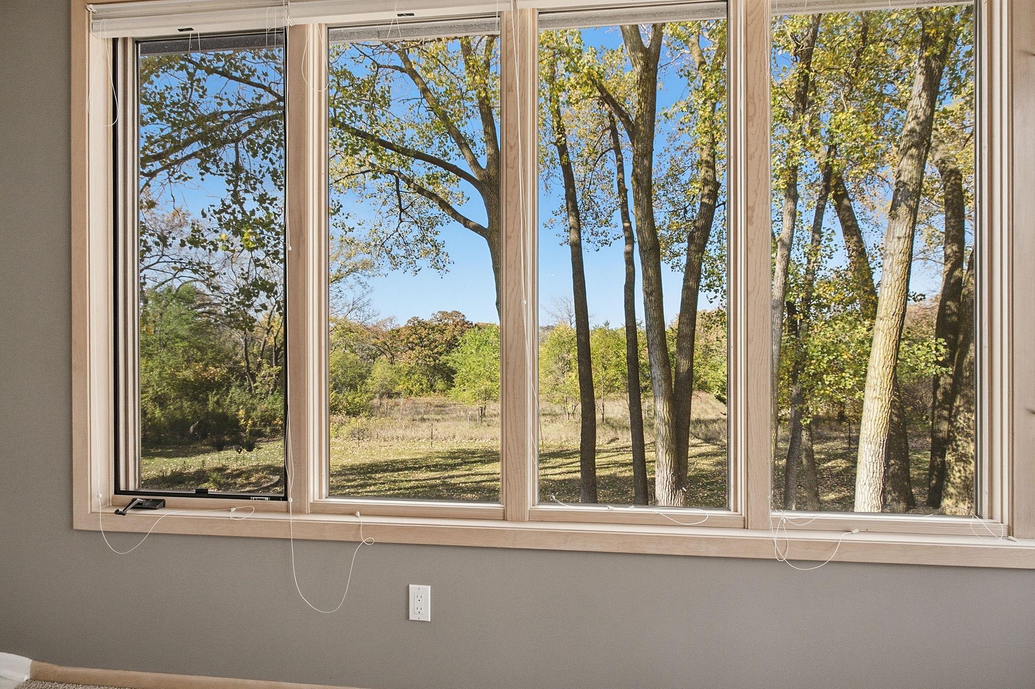 View of Residential at 17859 Layton Path, Lakeville MN 55044, Lakeville (44 of 85) - Mike Wilen | Minnesota Team Real Estate