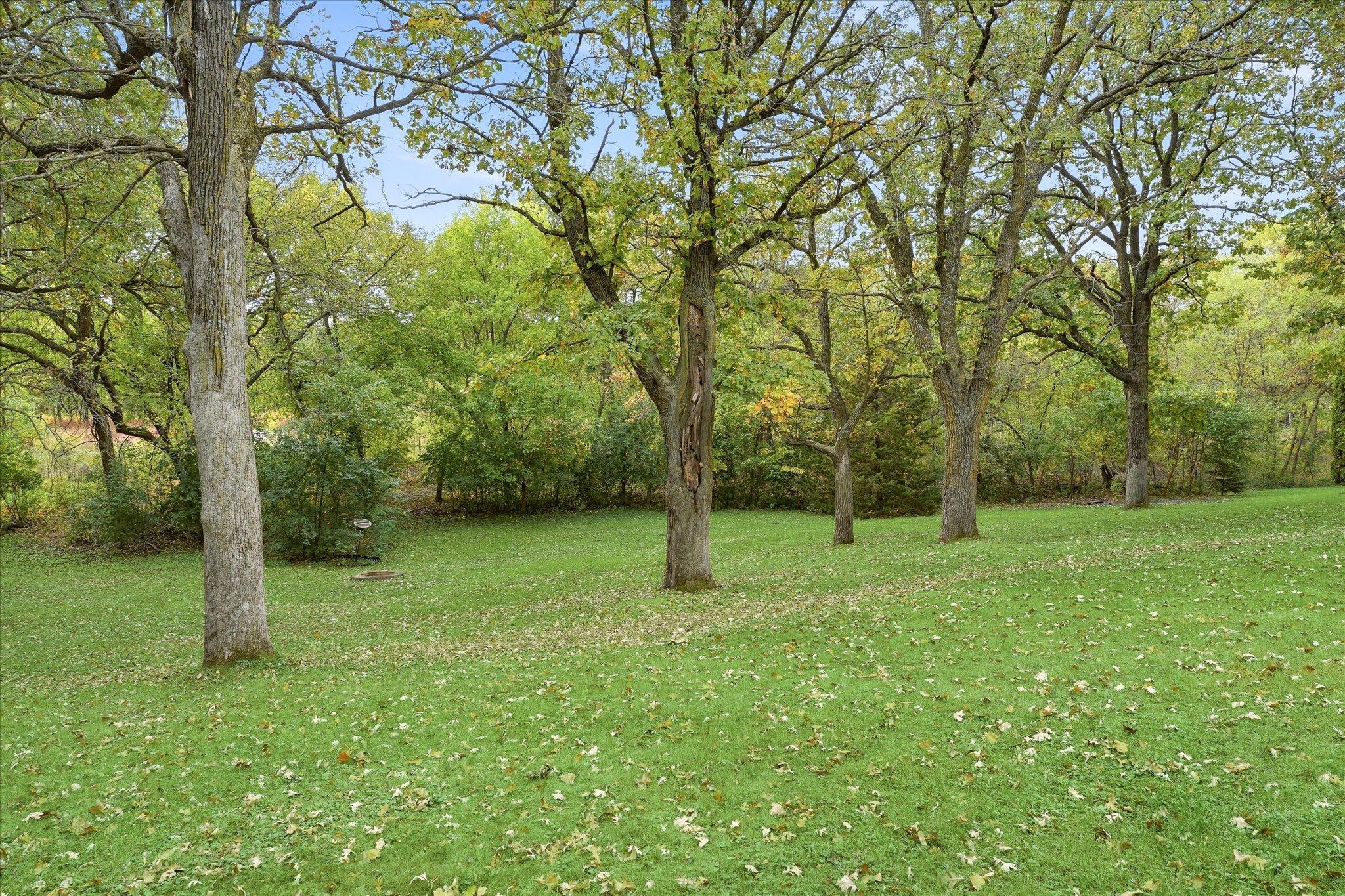 View of Residential at 20761 187th Avenue, Big Lake MN 55309, Big Lake (37 of 46) - Mike Wilen | Minnesota Team Real Estate