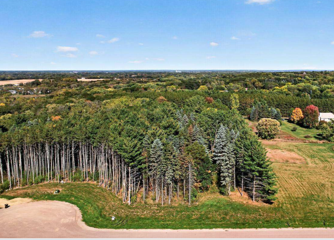View of Residential at 13850 27th Street, Stillwater MN 55082, Stillwater (14 of 16) - Mike Wilen | Minnesota Team Real Estate