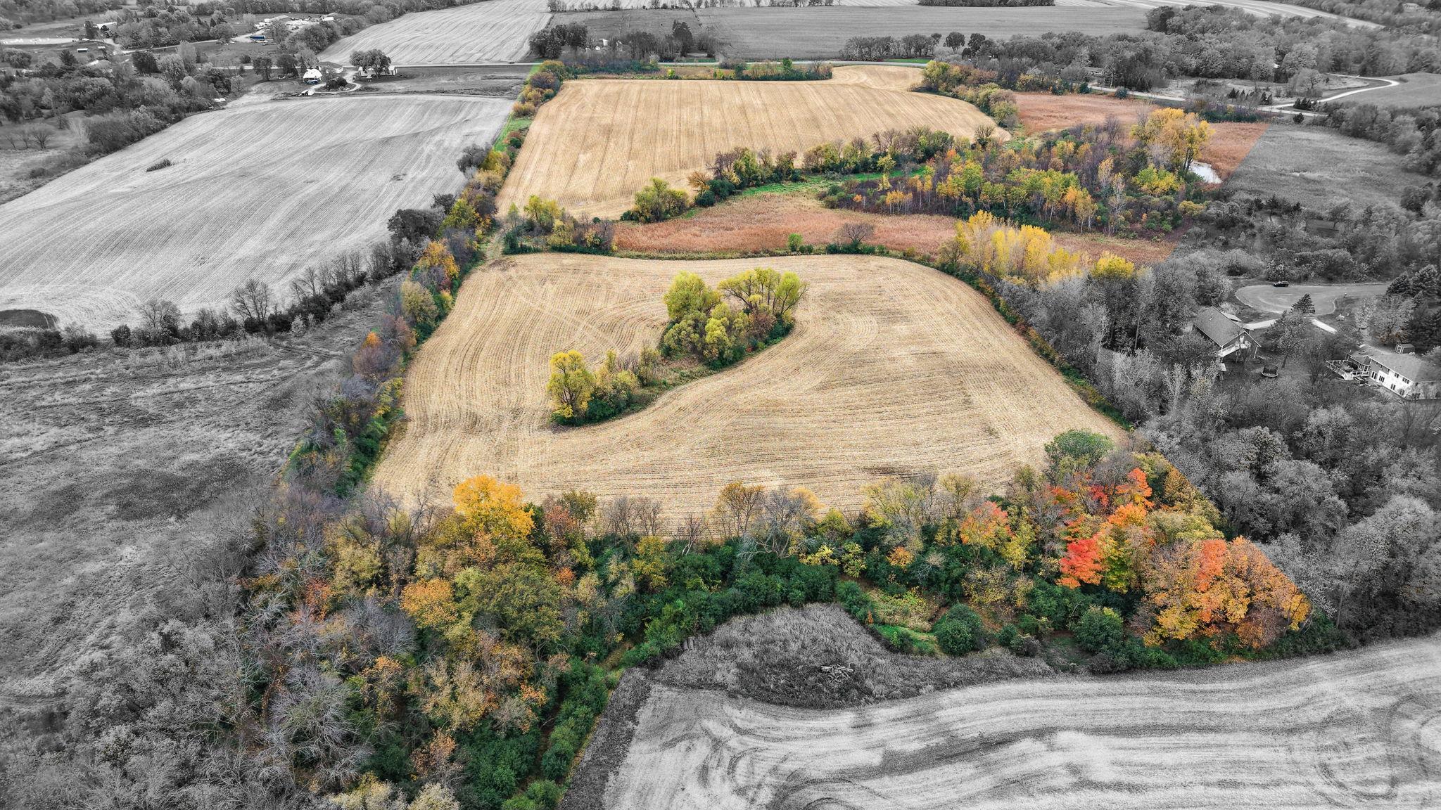 View of Land at TBD Rebecca Park Trail / County Road #50, Corcoran MN 55340, Corcoran (2 of 20) - Mike Wilen | Minnesota Team Real Estate