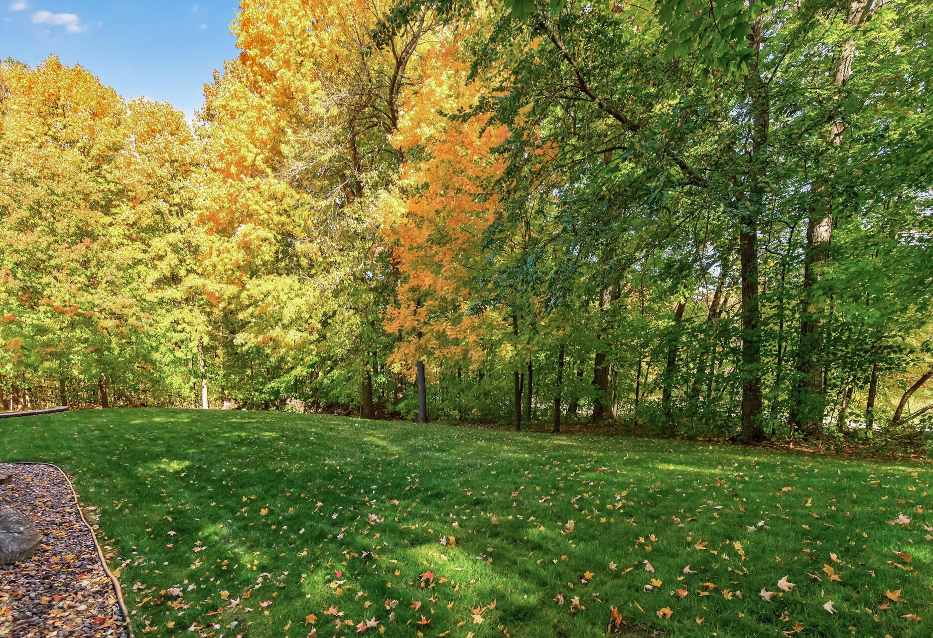 View of Residential at 2135 County Road 24, Medina MN 55340, Medina (39 of 47) - Mike Wilen | Minnesota Team Real Estate