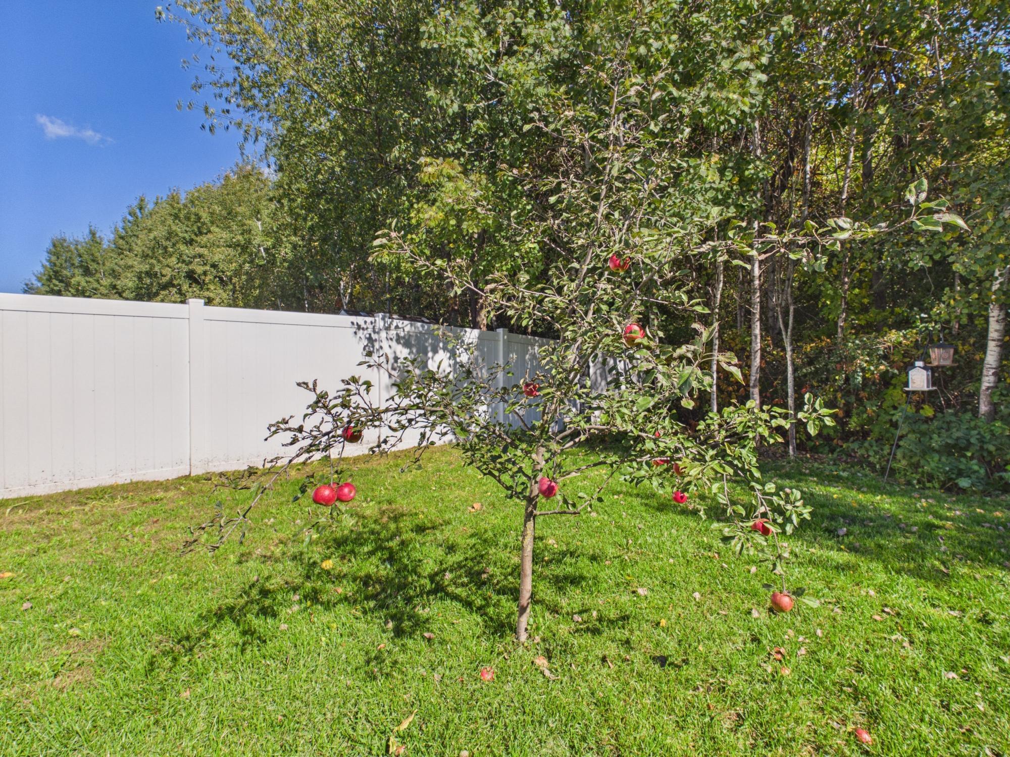View of Residential at 38377 Hunters Ridge Trail, North Branch MN 55056, North Branch (31 of 42) - Mike Wilen | Minnesota Team Real Estate
