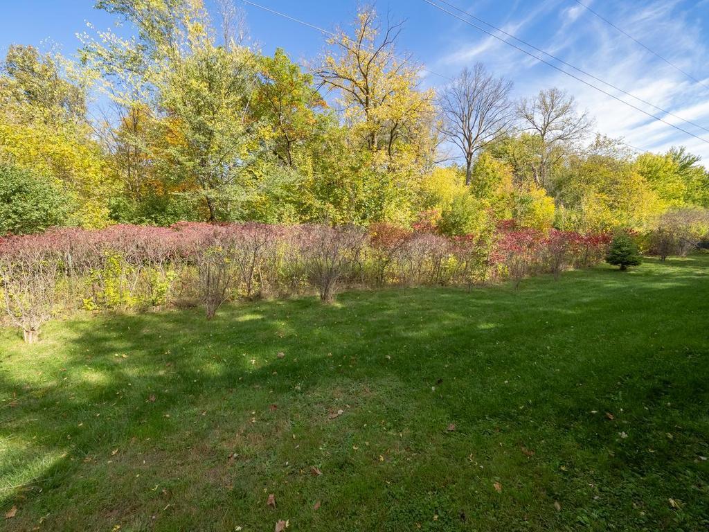View of Residential at 7080 Highway 12 #U, Independence MN 55359, Independence (9 of 31) - Mike Wilen | Minnesota Team Real Estate