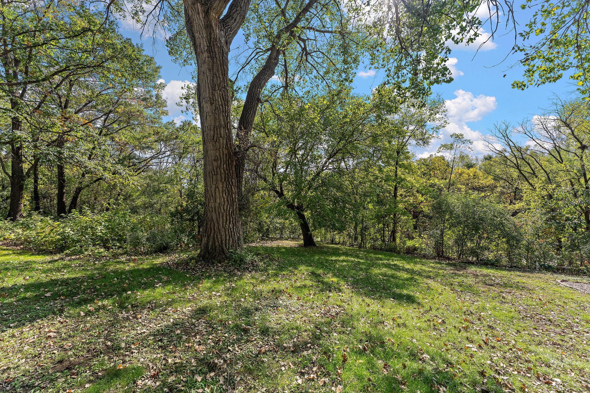 View of Residential at 415 Chestnut Street, South Saint Paul MN 55075, South Saint Paul (17 of 17) - Mike Wilen | Minnesota Team Real Estate