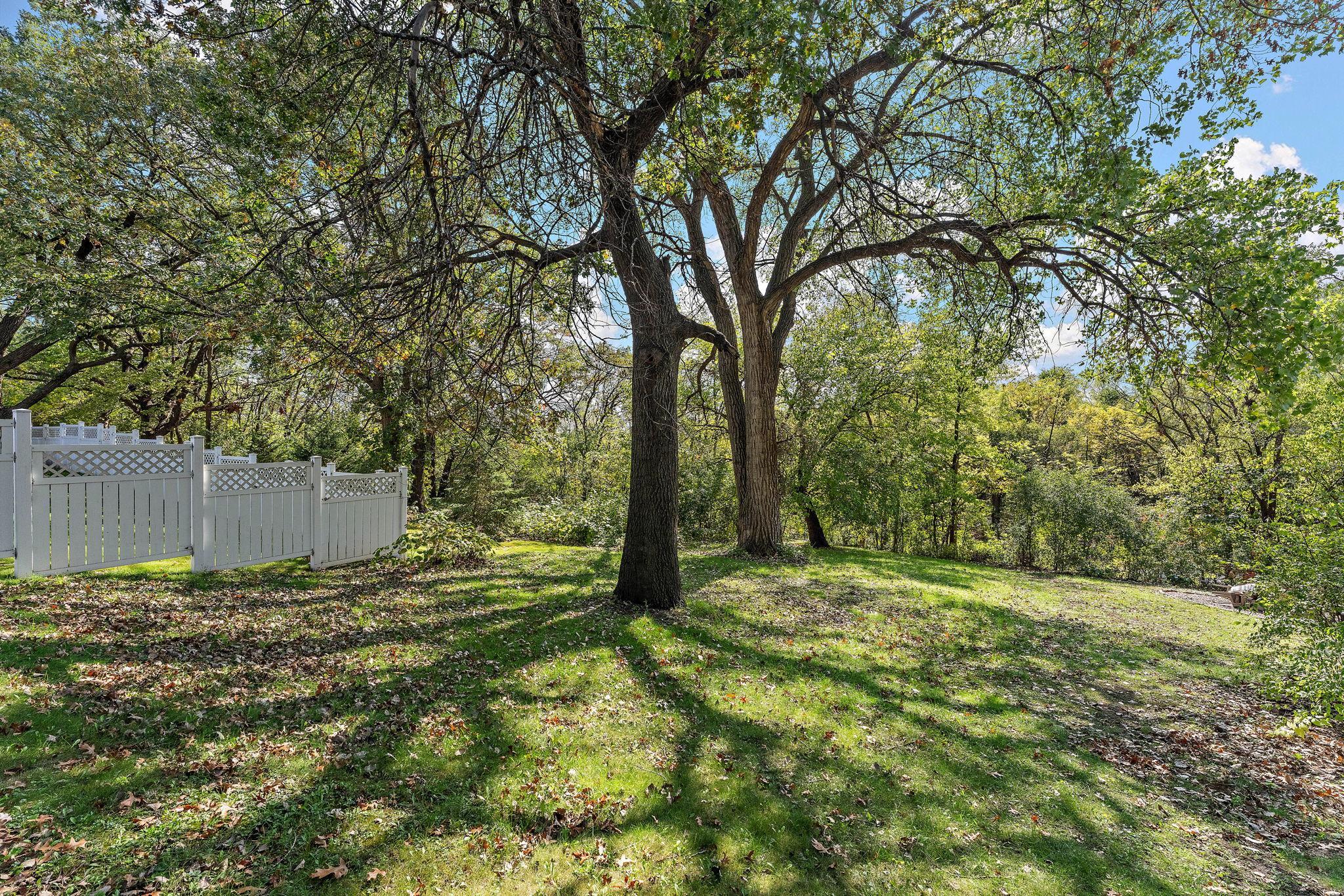 View of Residential at 415 Chestnut Street, South Saint Paul MN 55075, South Saint Paul (16 of 17) - Mike Wilen | Minnesota Team Real Estate