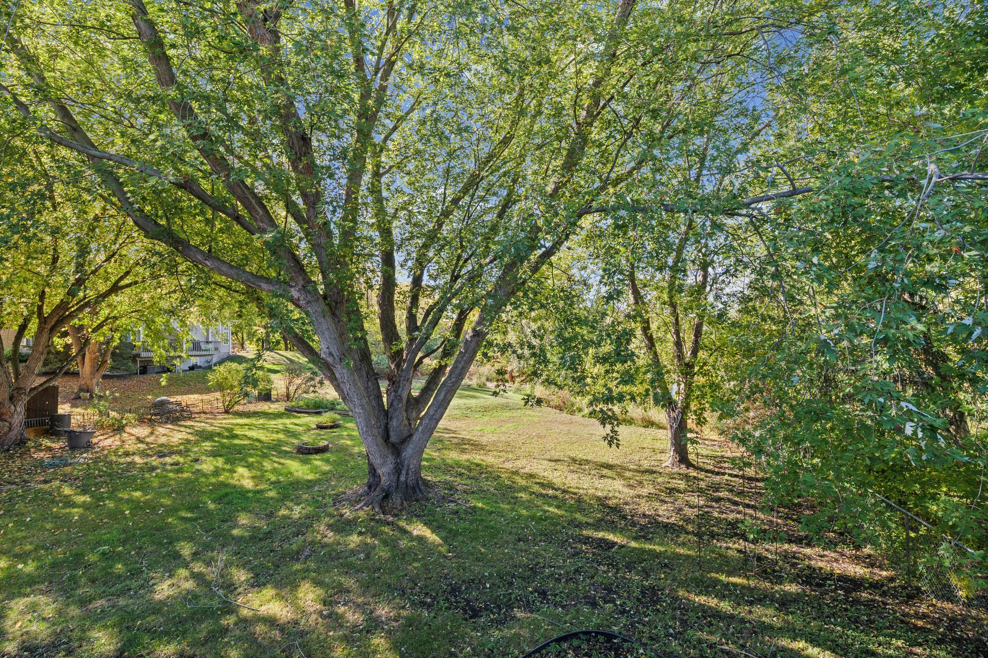 View of Residential at 5570 Fillmore Street, Fridley MN 55432, Fridley (42 of 48) - Mike Wilen | Minnesota Team Real Estate