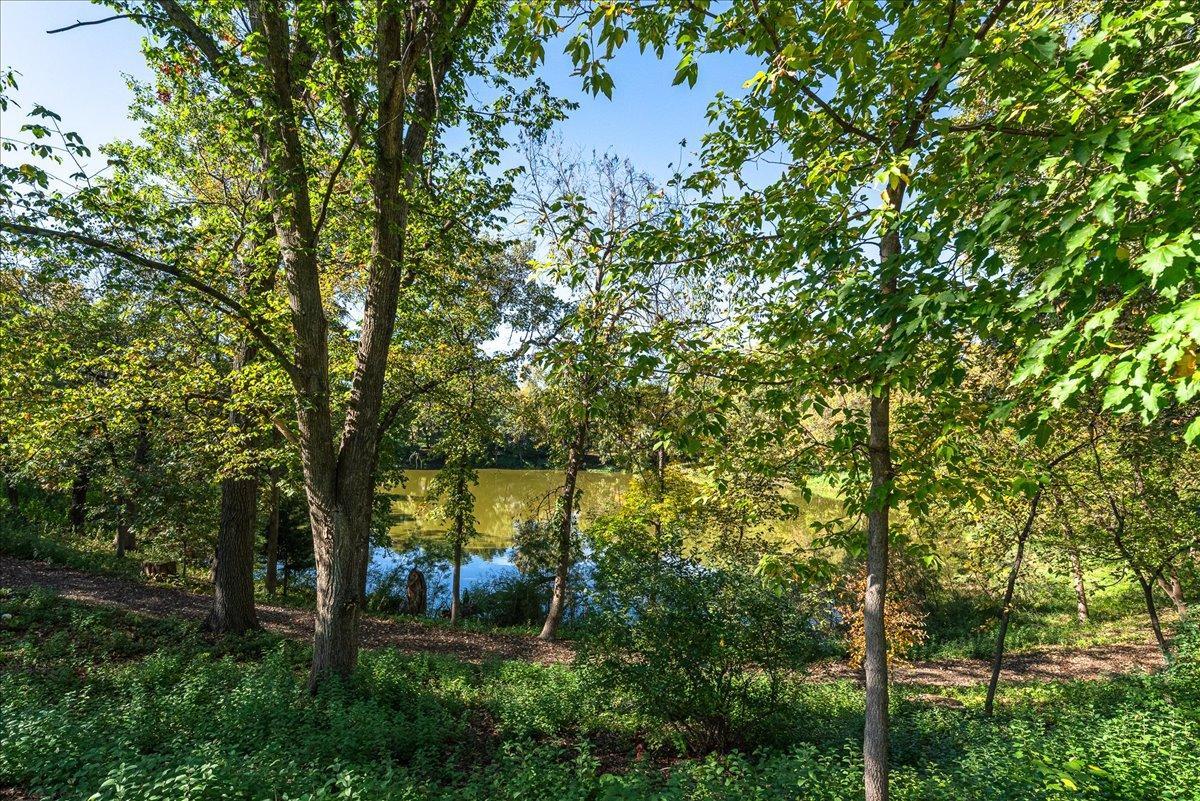 View of Residential at 299 River Woods Lane, Burnsville MN 55337, Burnsville (56 of 60) - Mike Wilen | Minnesota Team Real Estate