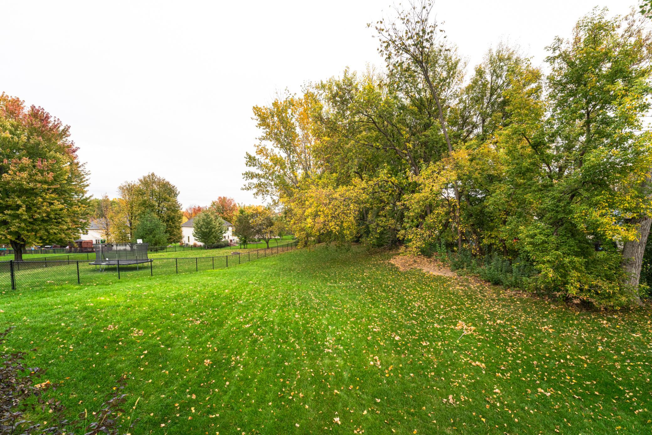 View of Residential at 13563 Foxberry Road, Savage MN 55378, Savage (49 of 57) - Mike Wilen | Minnesota Team Real Estate