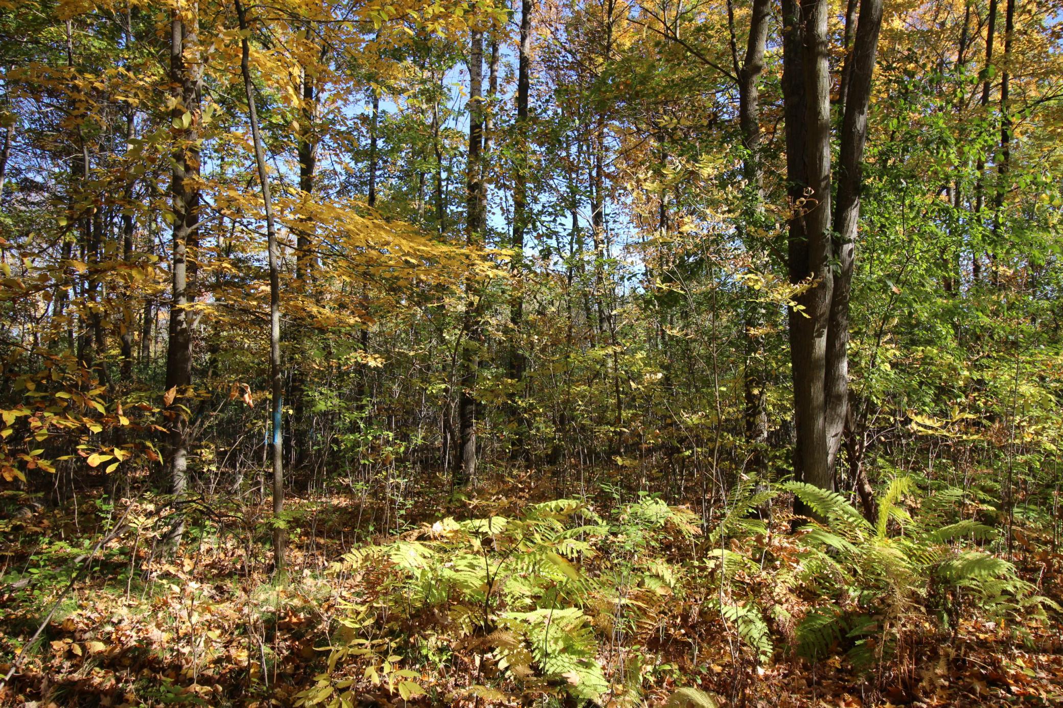 View of Land at TBD 177th Street, Ogilvie MN 56358, Ogilvie - Mike Wilen | Minnesota Team Real Estate