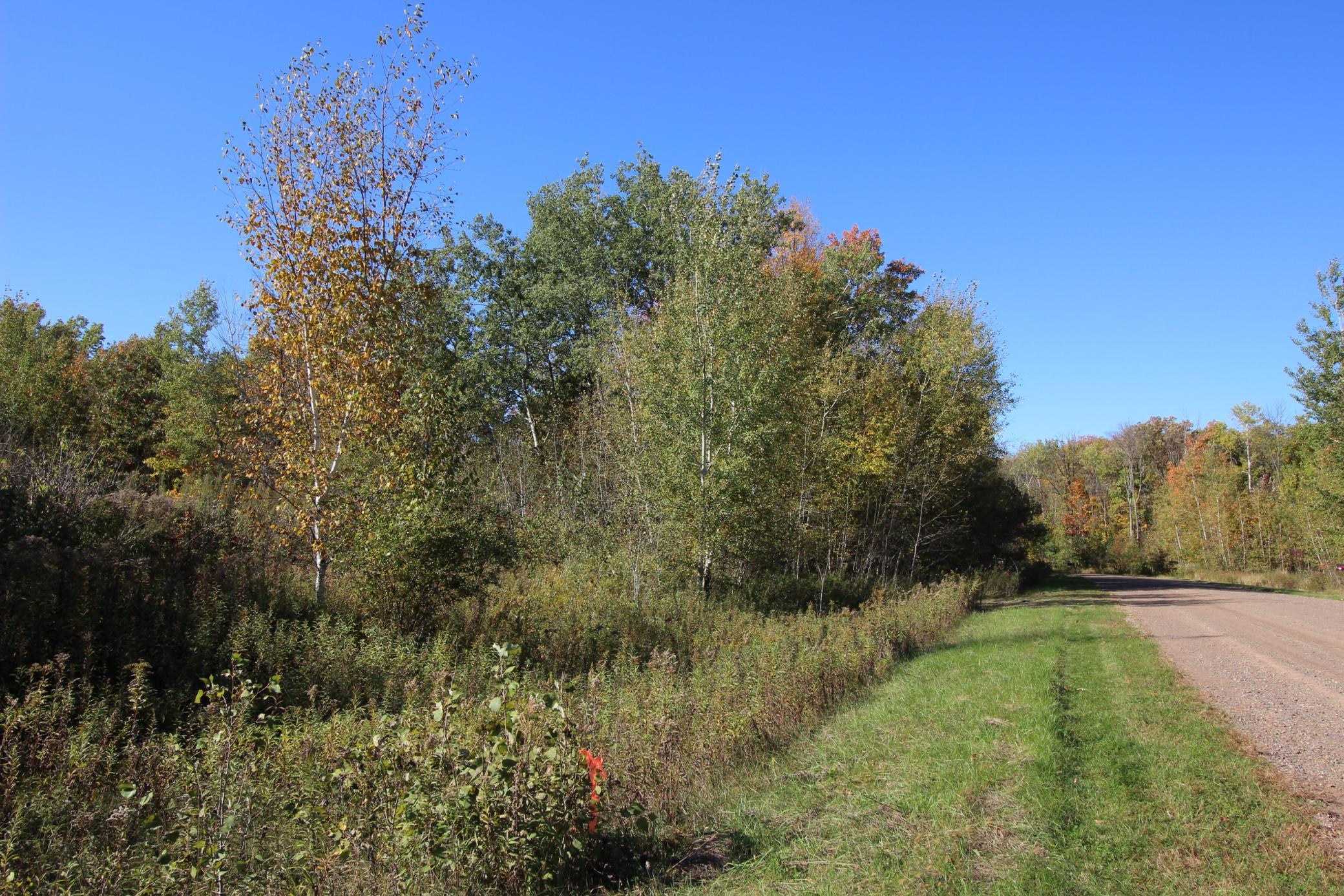 View of Land at TBD 177th Street, Ogilvie MN 56358, Ogilvie (16 of 20) - Mike Wilen | Minnesota Team Real Estate