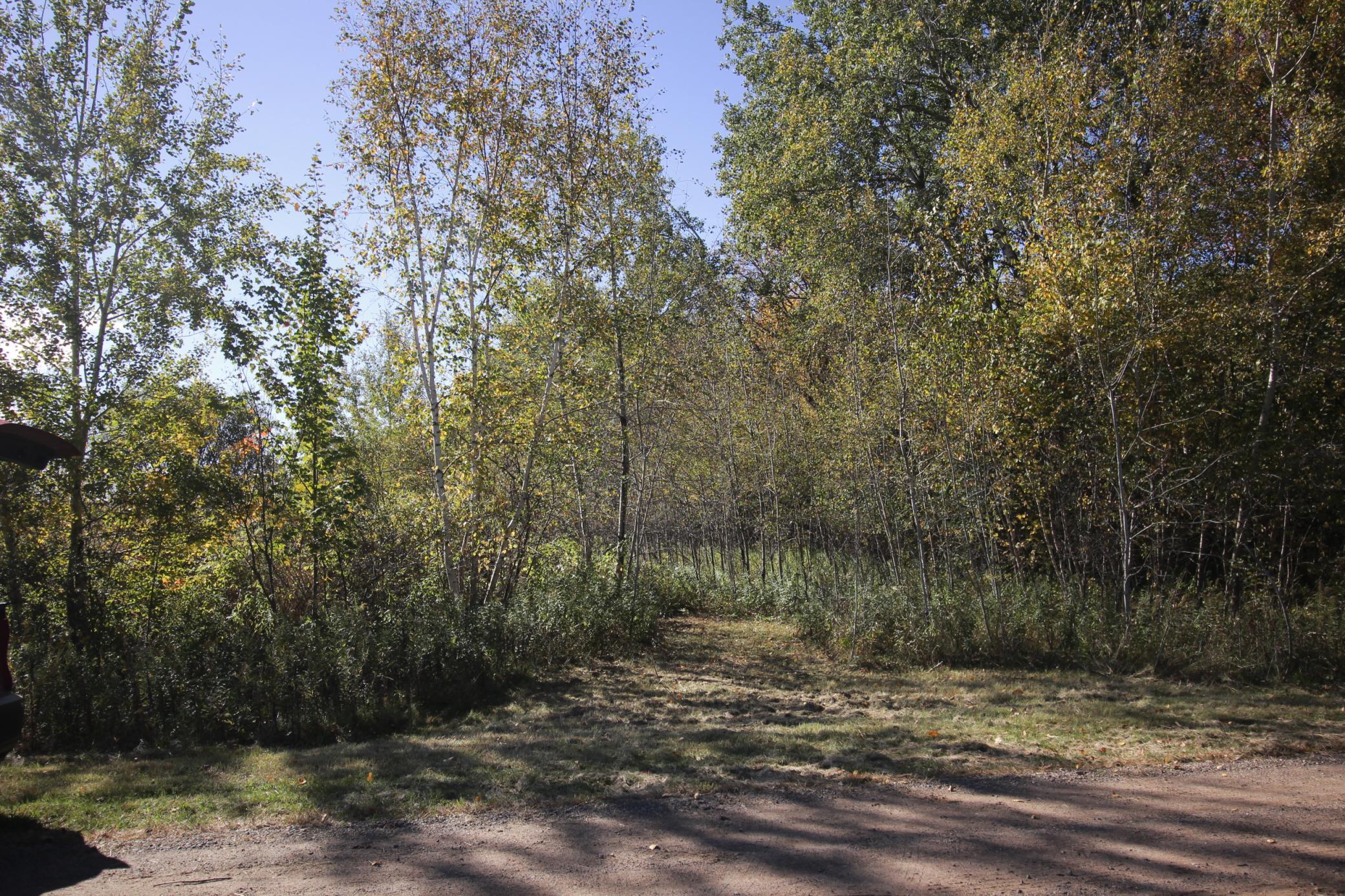 View of Land at TBD 177th Street, Ogilvie MN 56358, Ogilvie (15 of 20) - Mike Wilen | Minnesota Team Real Estate