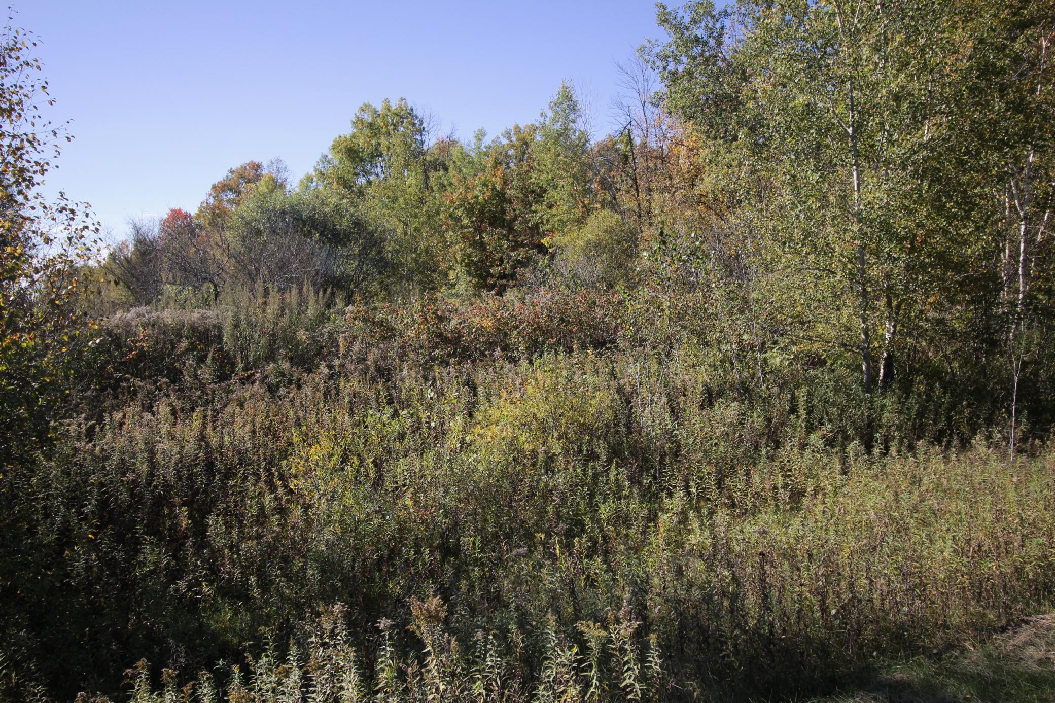 View of Land at TBD 177th Street, Ogilvie MN 56358, Ogilvie (13 of 20) - Mike Wilen | Minnesota Team Real Estate
