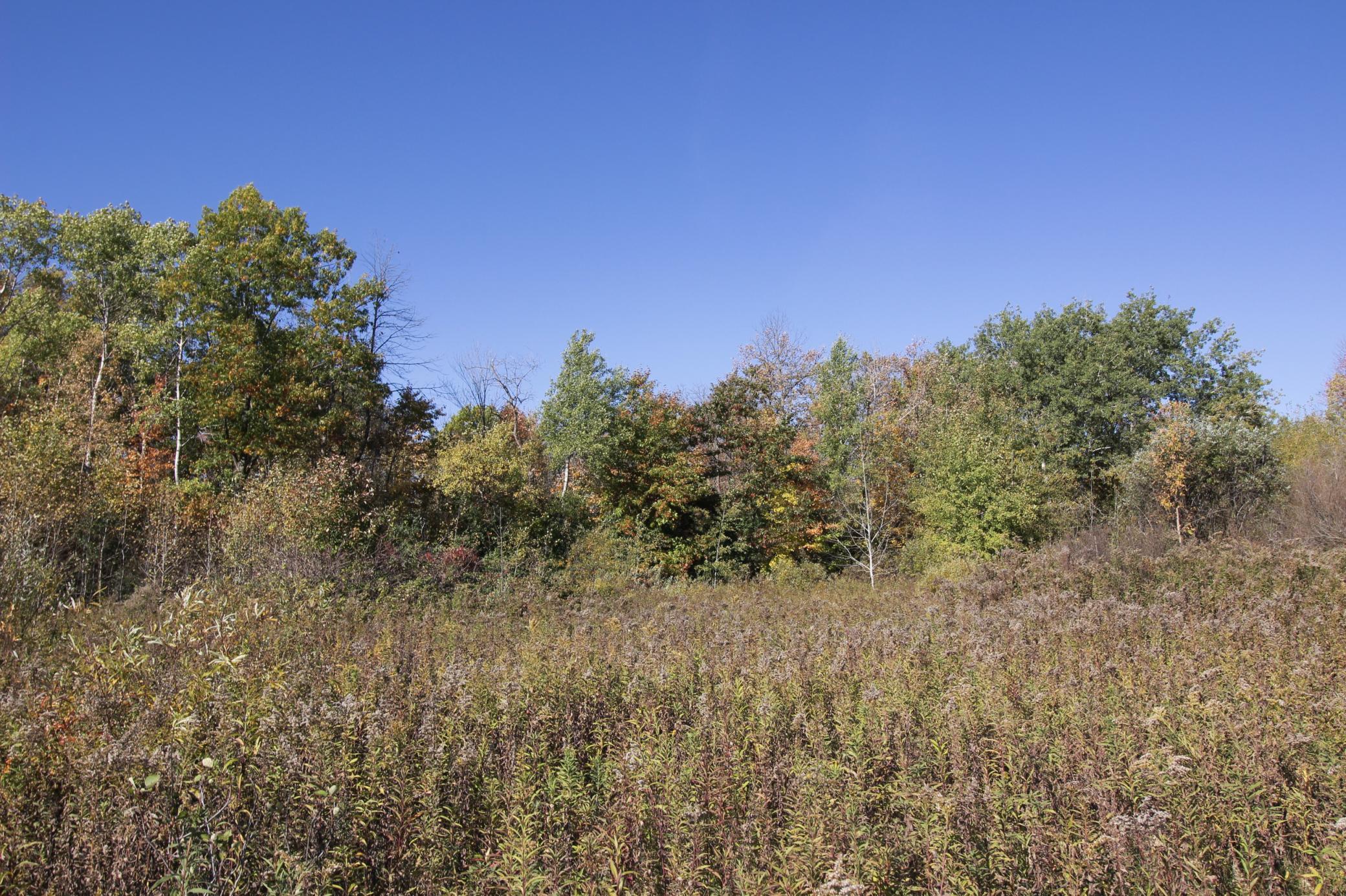 View of Land at TBD 177th Street, Ogilvie MN 56358, Ogilvie (12 of 20) - Mike Wilen | Minnesota Team Real Estate