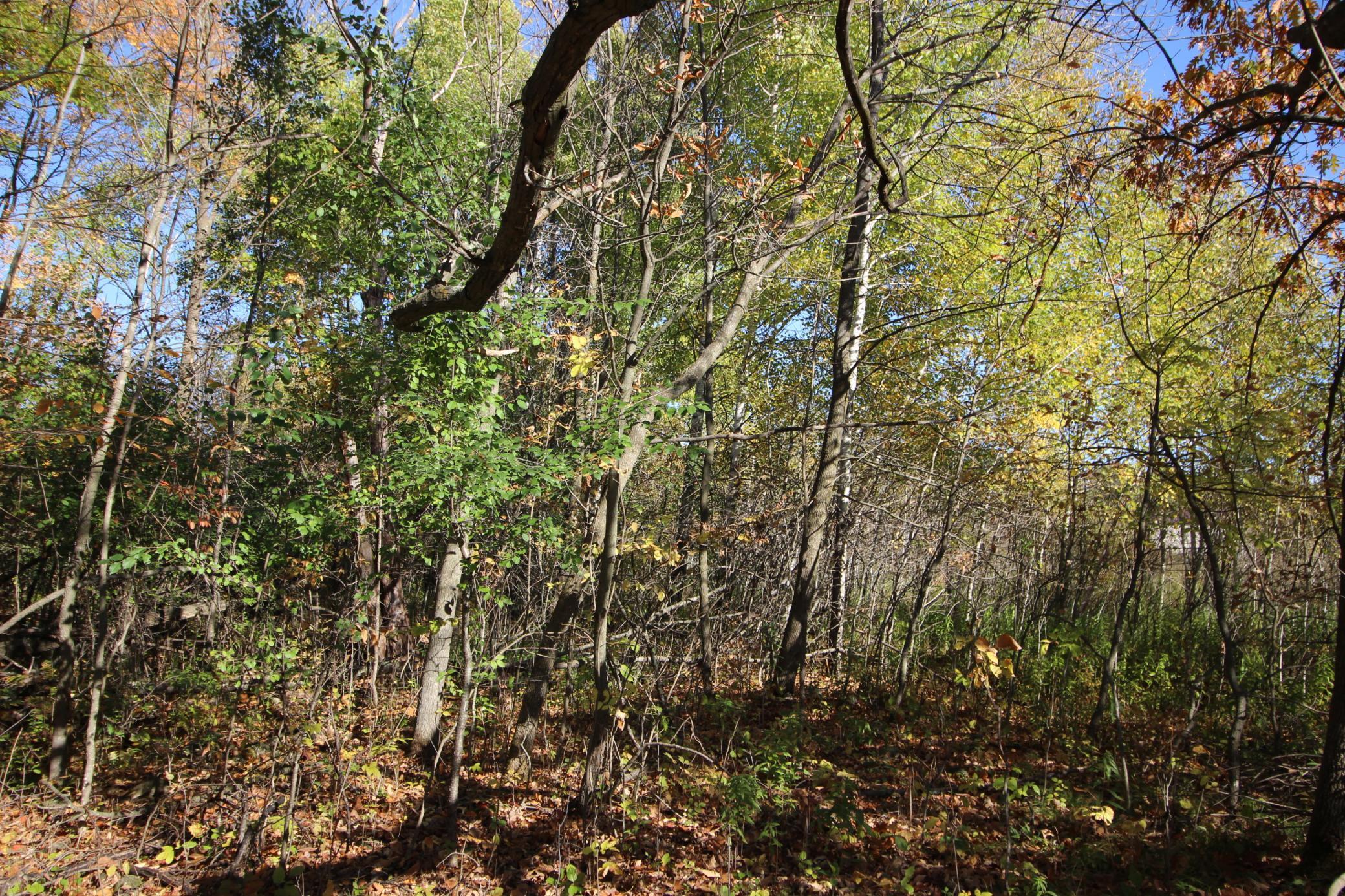 View of Land at TBD 177th Street, Ogilvie MN 56358, Ogilvie (6 of 20) - Mike Wilen | Minnesota Team Real Estate