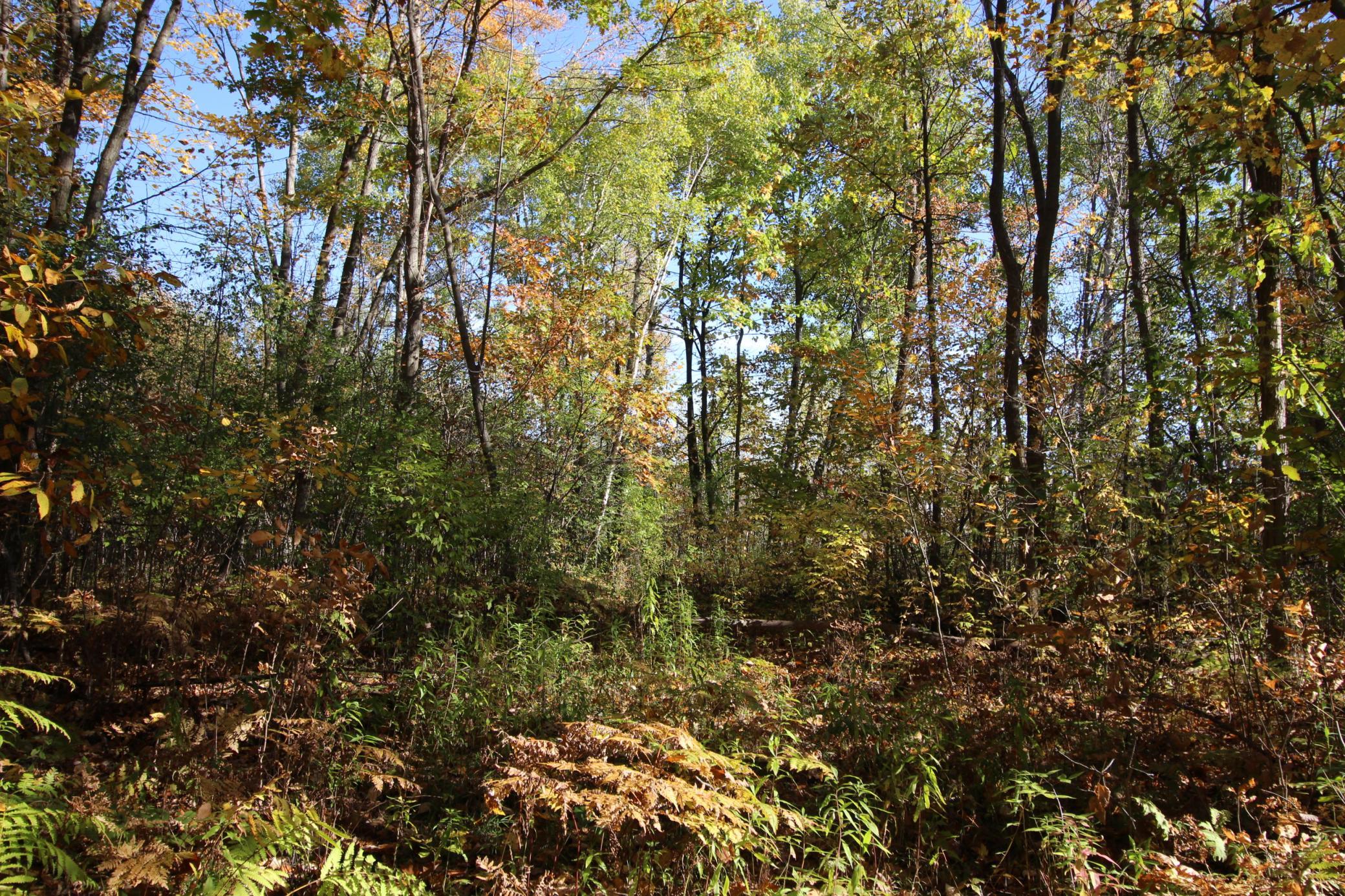 View of Land at TBD 177th Street, Ogilvie MN 56358, Ogilvie (4 of 20) - Mike Wilen | Minnesota Team Real Estate