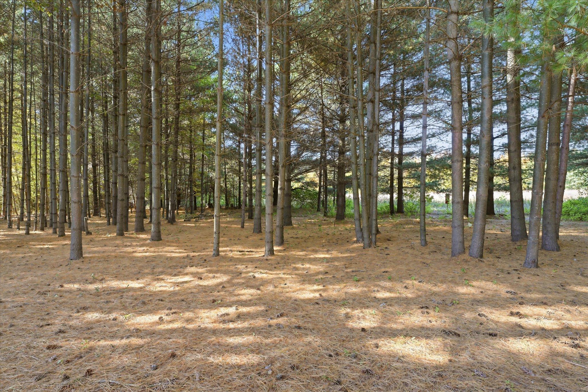 View of Residential at 37298 Heritage Way, North Branch MN 55056, North Branch (4 of 90) - Mike Wilen | Minnesota Team Real Estate