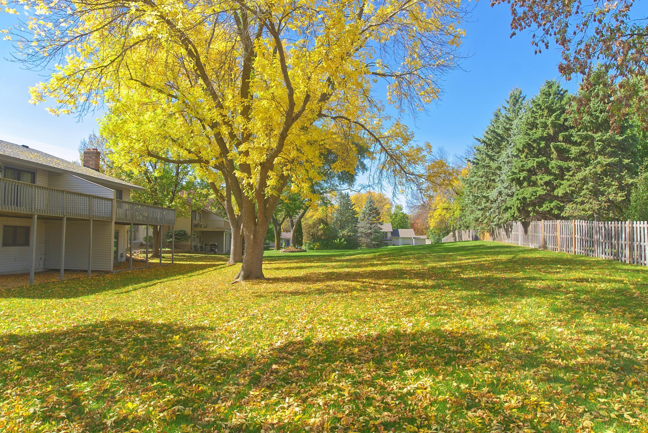 View of Residential at 14020 79th Avenue, Maple Grove MN 55311, Maple Grove (53 of 57) - Mike Wilen | Minnesota Team Real Estate
