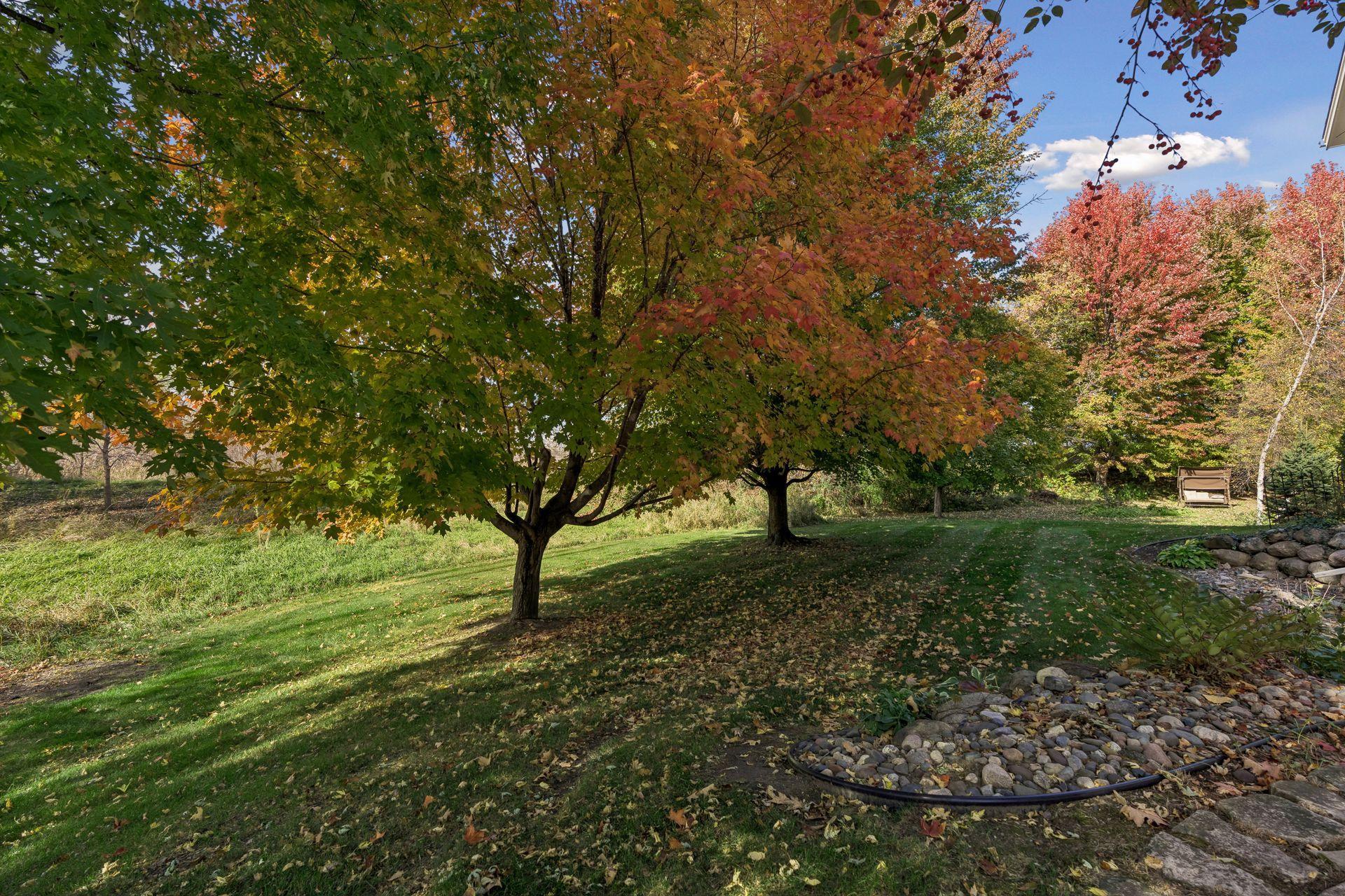 View of Residential at 14118 Jardin Avenue, Hugo MN 55038, Hugo (53 of 70) - Mike Wilen | Minnesota Team Real Estate