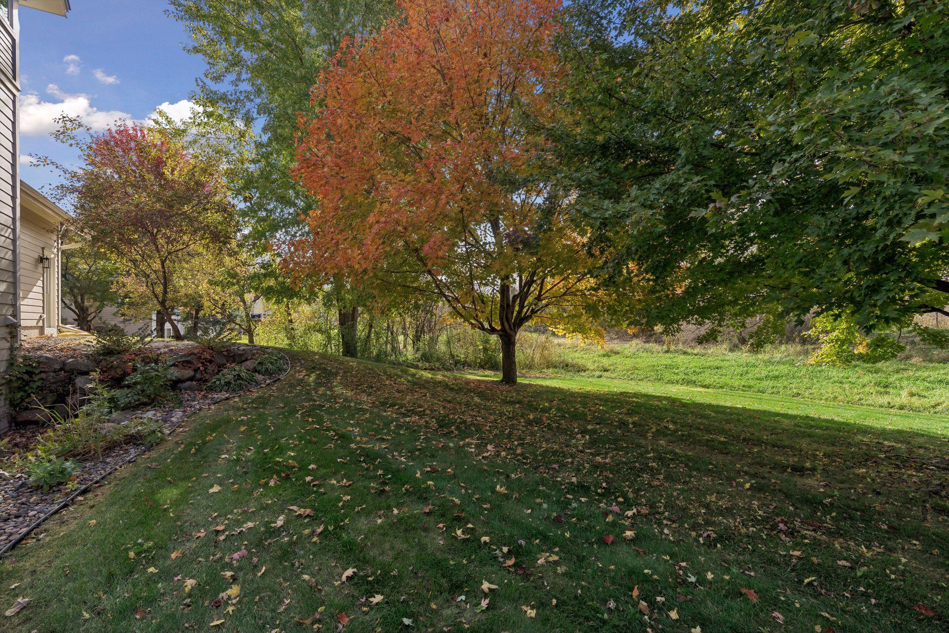 View of Residential at 14118 Jardin Avenue, Hugo MN 55038, Hugo (54 of 70) - Mike Wilen | Minnesota Team Real Estate